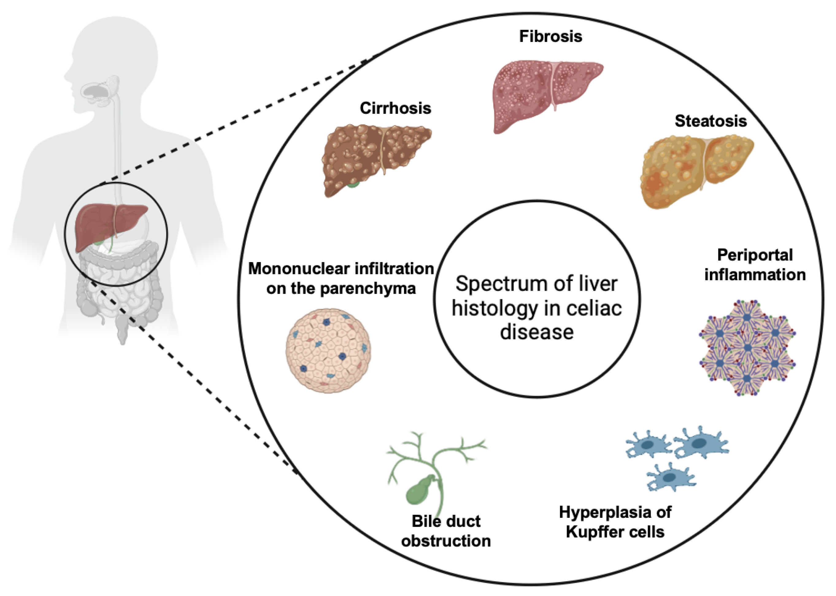 Diagnostics 14 01832 g006