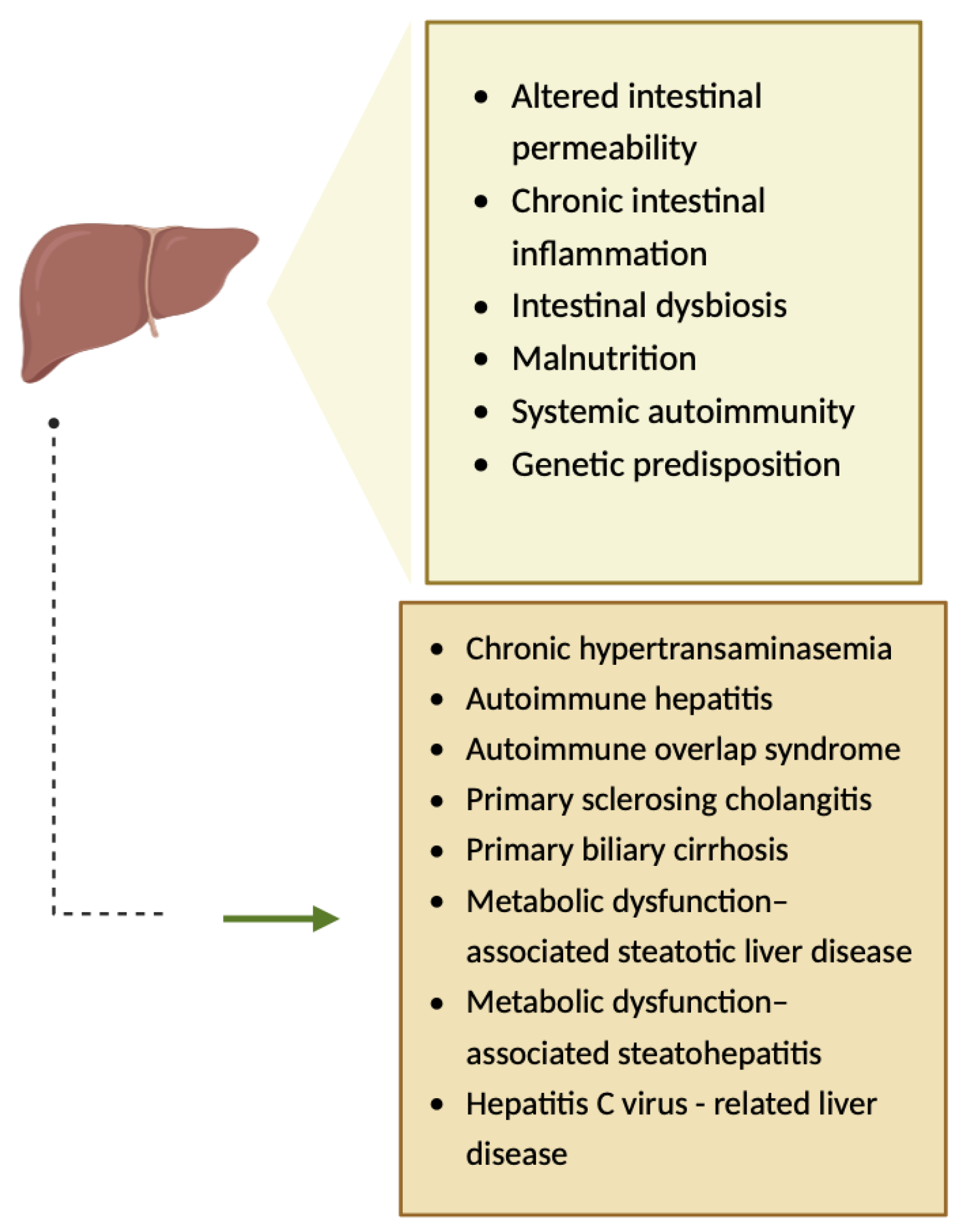 Diagnostics 14 01832 g007