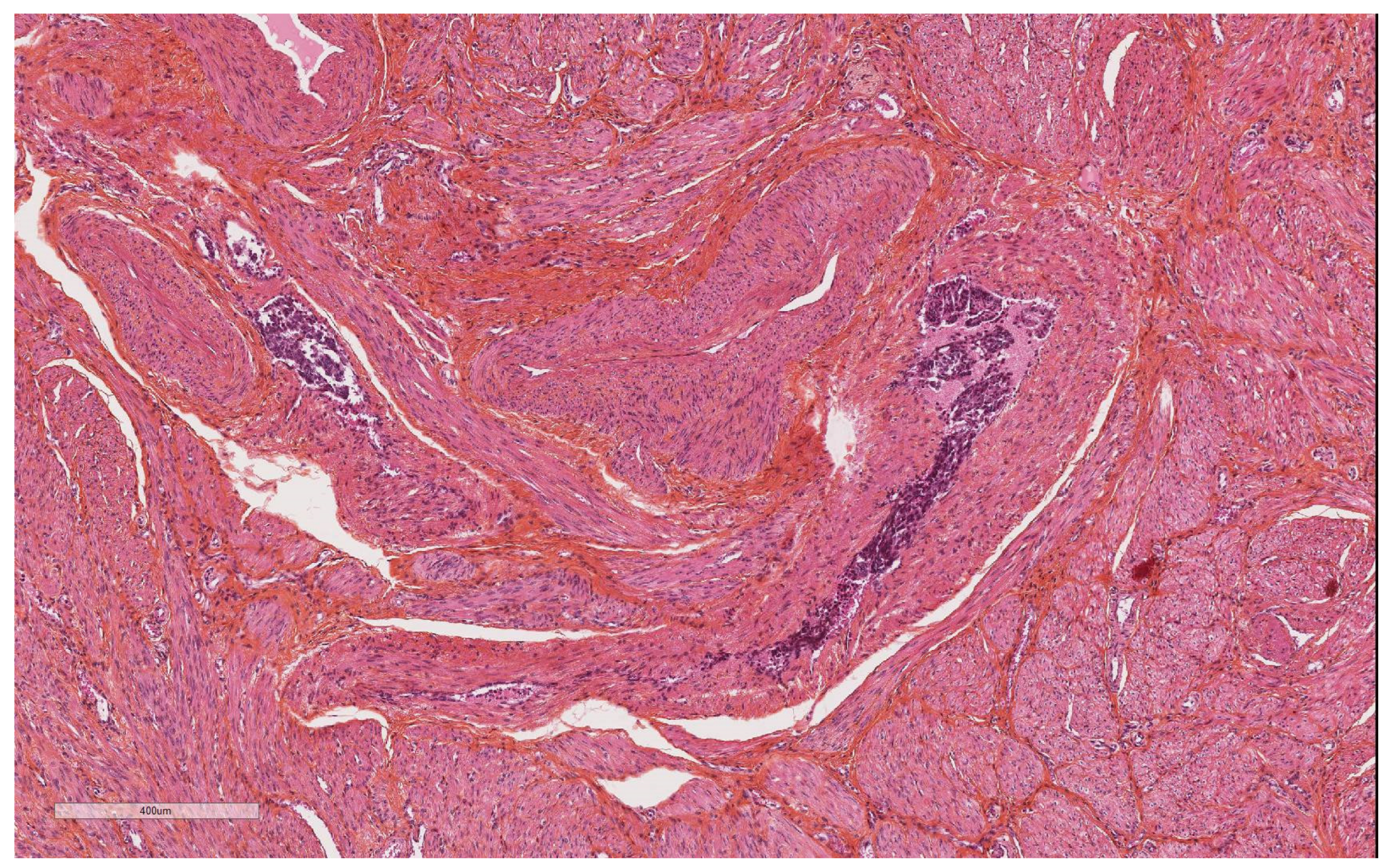 Diagnostics 14 01833 g001