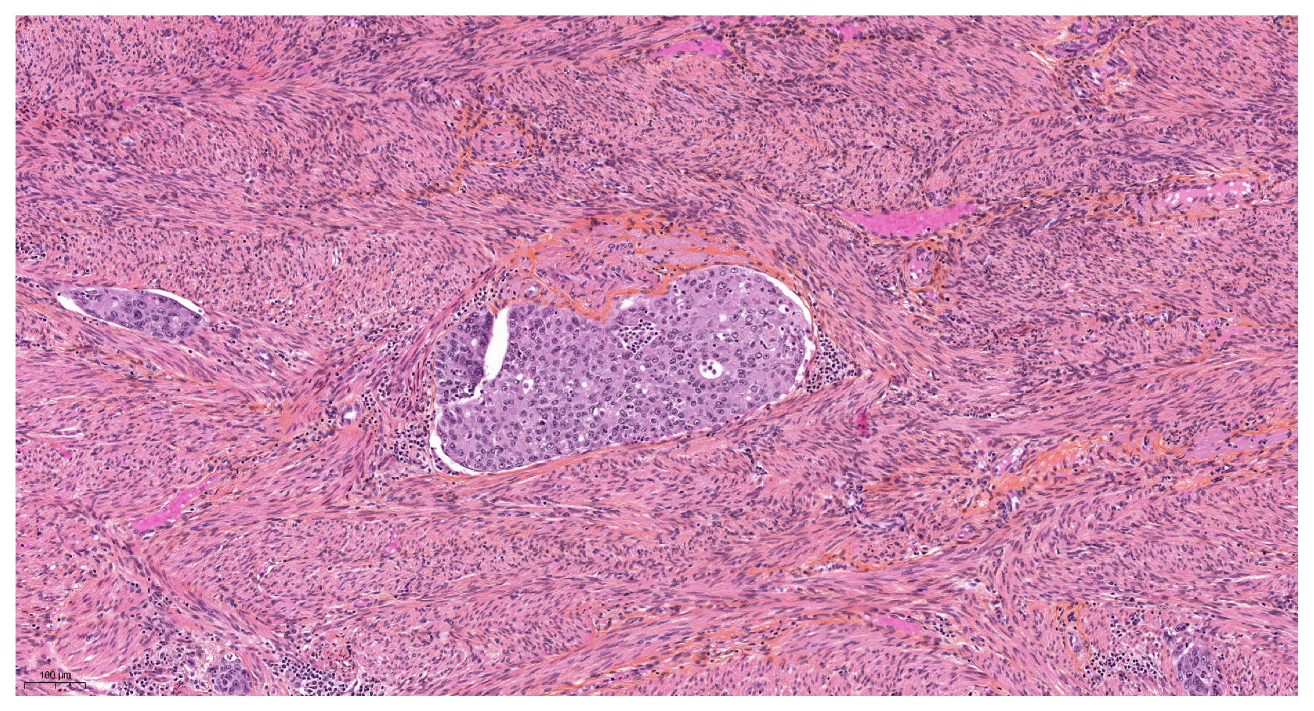 Diagnostics 14 01833 g002