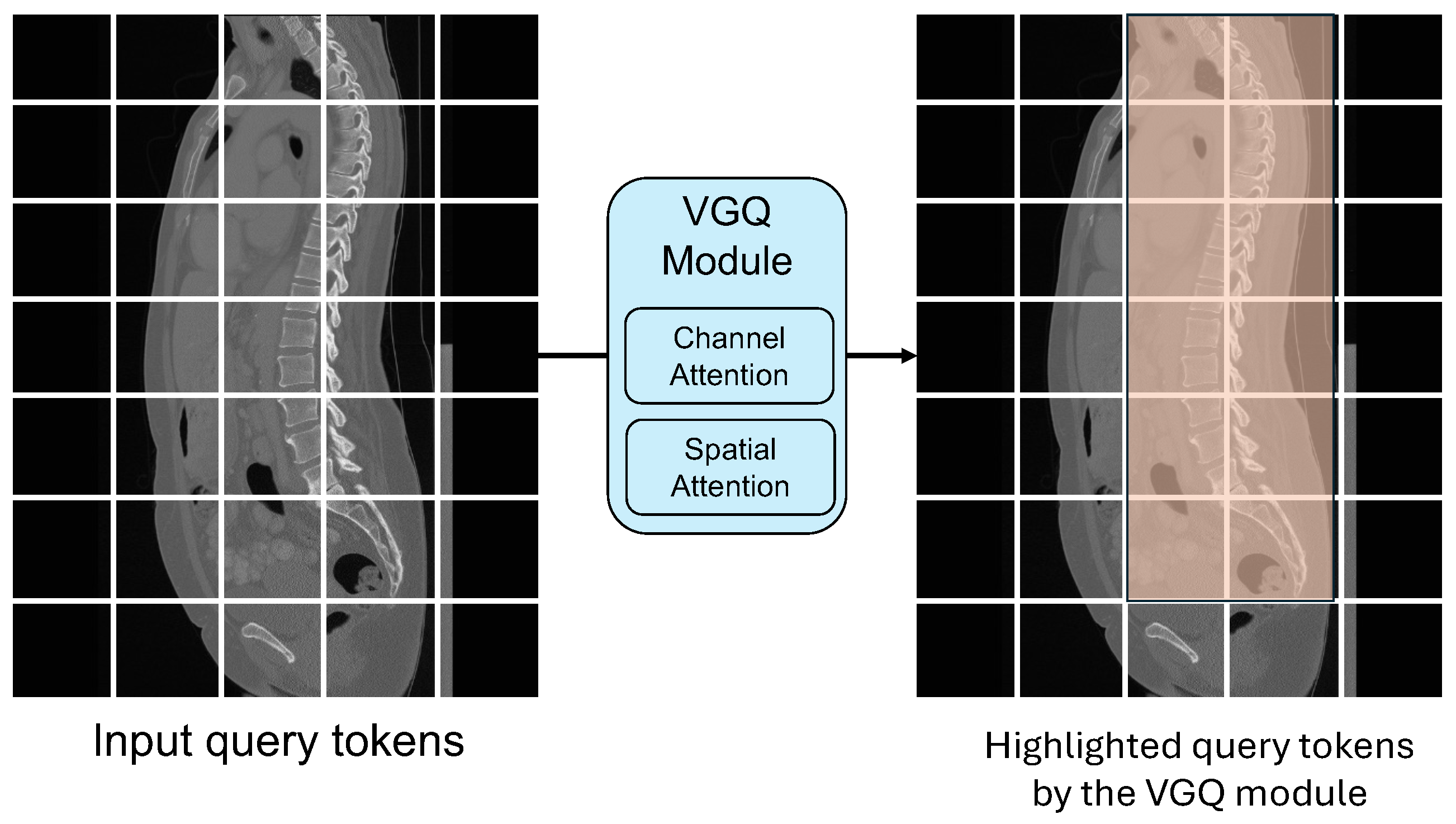 Diagnostics 14 01859 g003