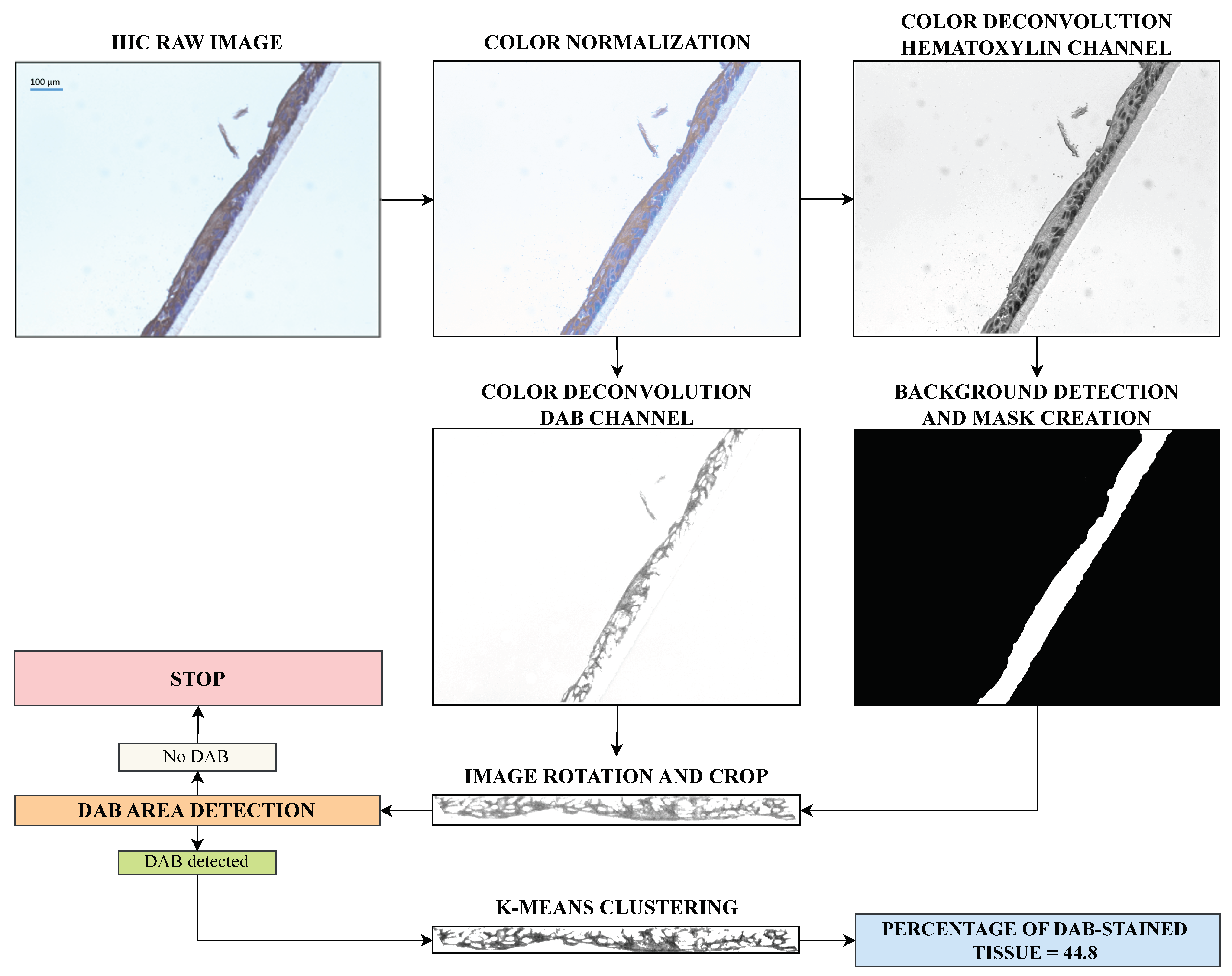 Diagnostics 14 01904 g002