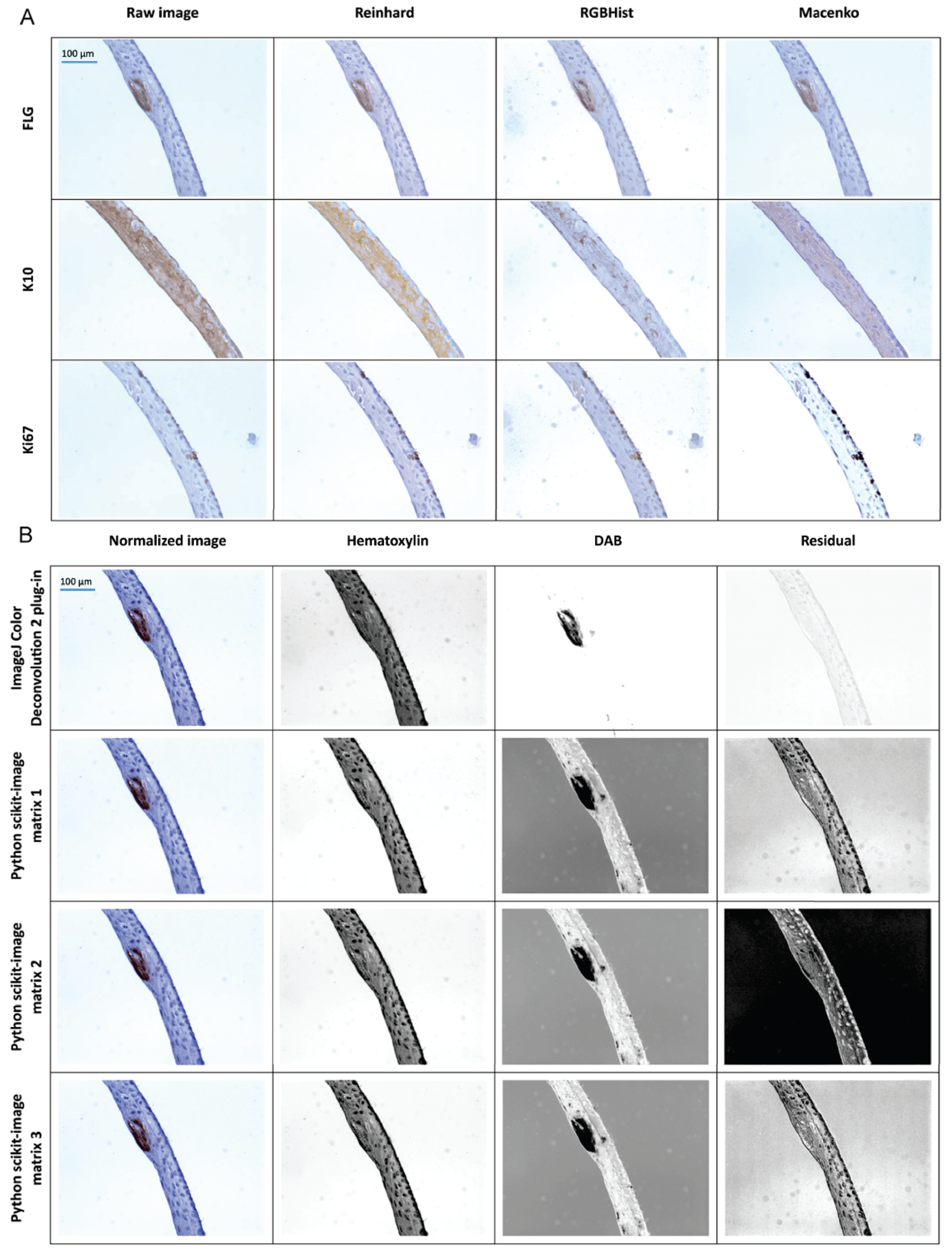 Diagnostics 14 01904 g003
