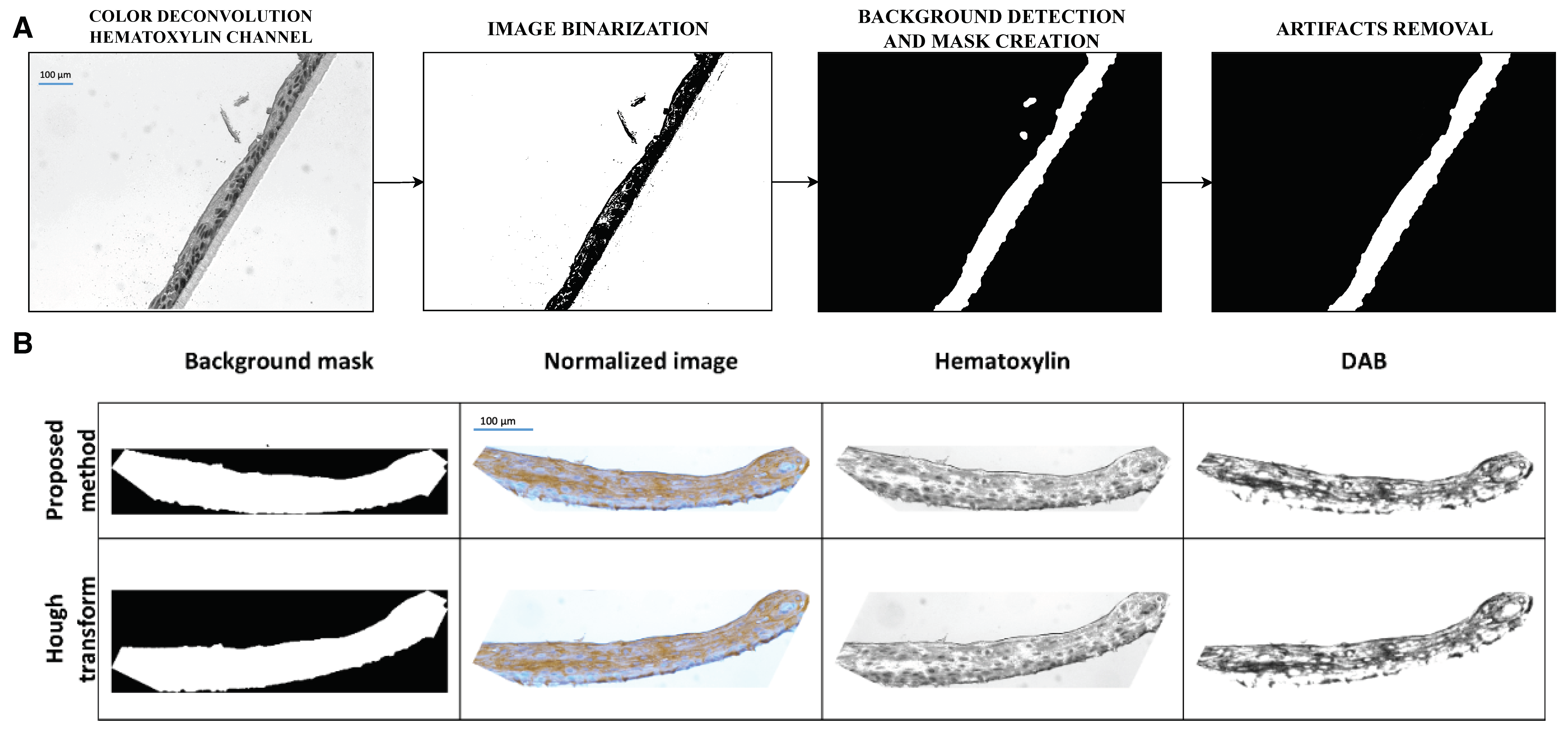 Diagnostics 14 01904 g004