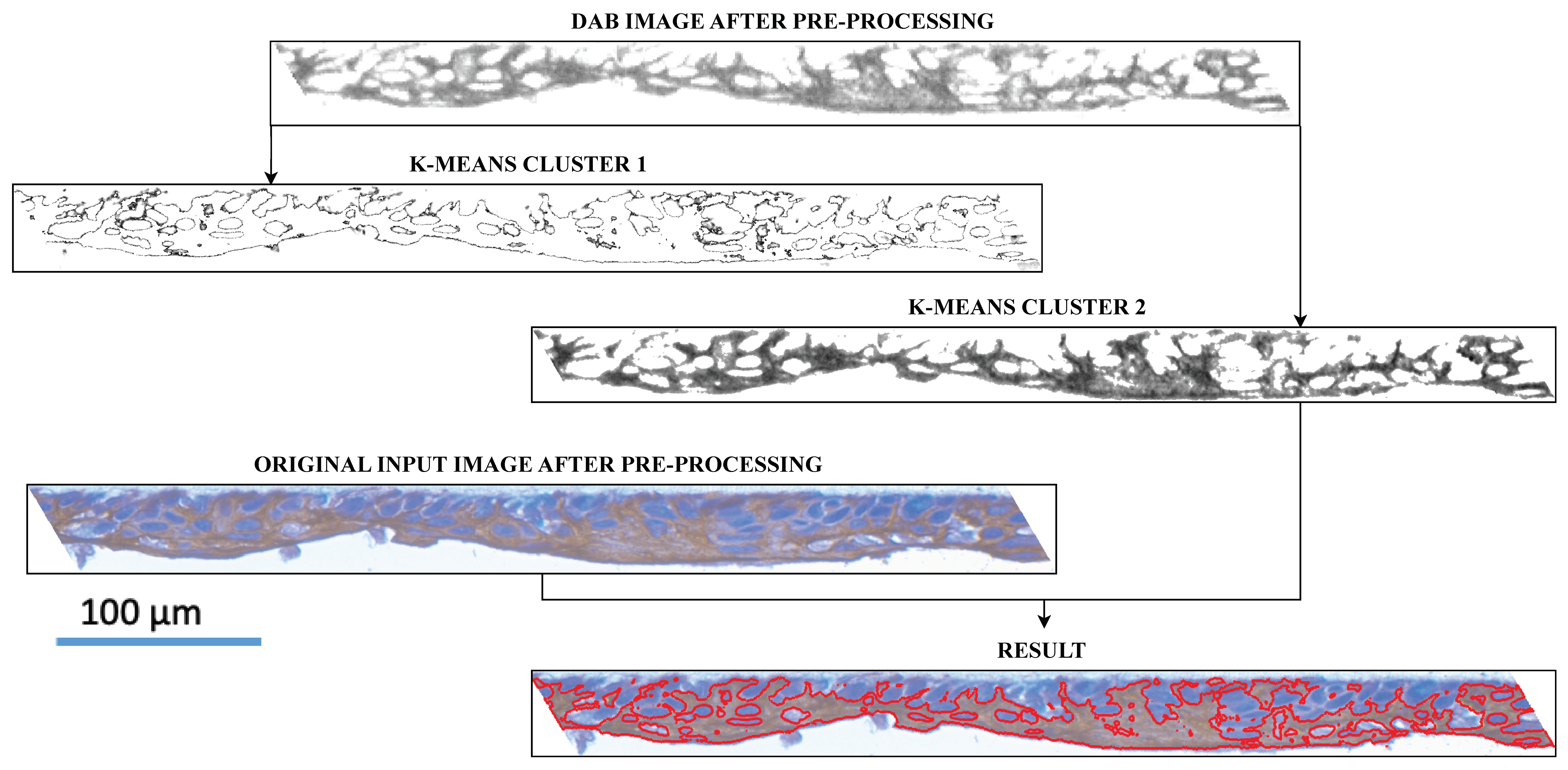 Diagnostics 14 01904 g005