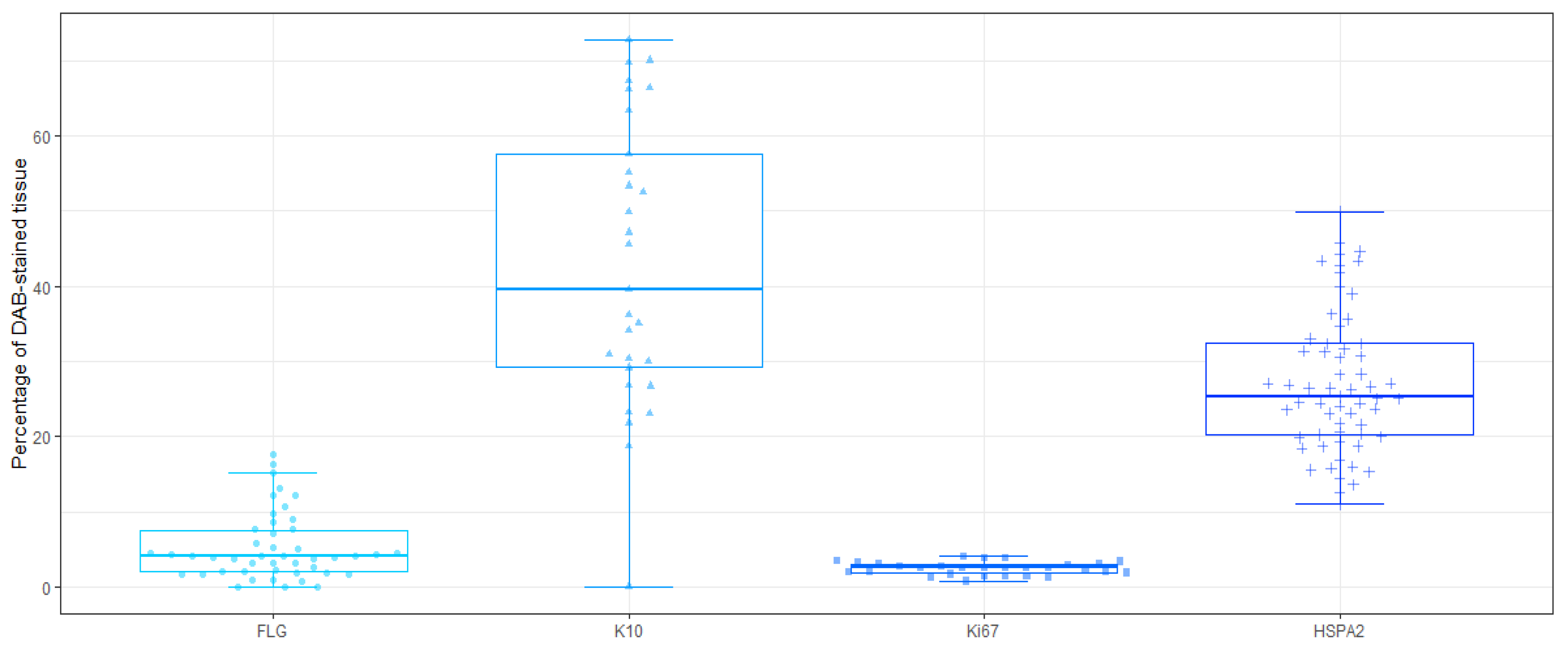 Diagnostics 14 01904 g006