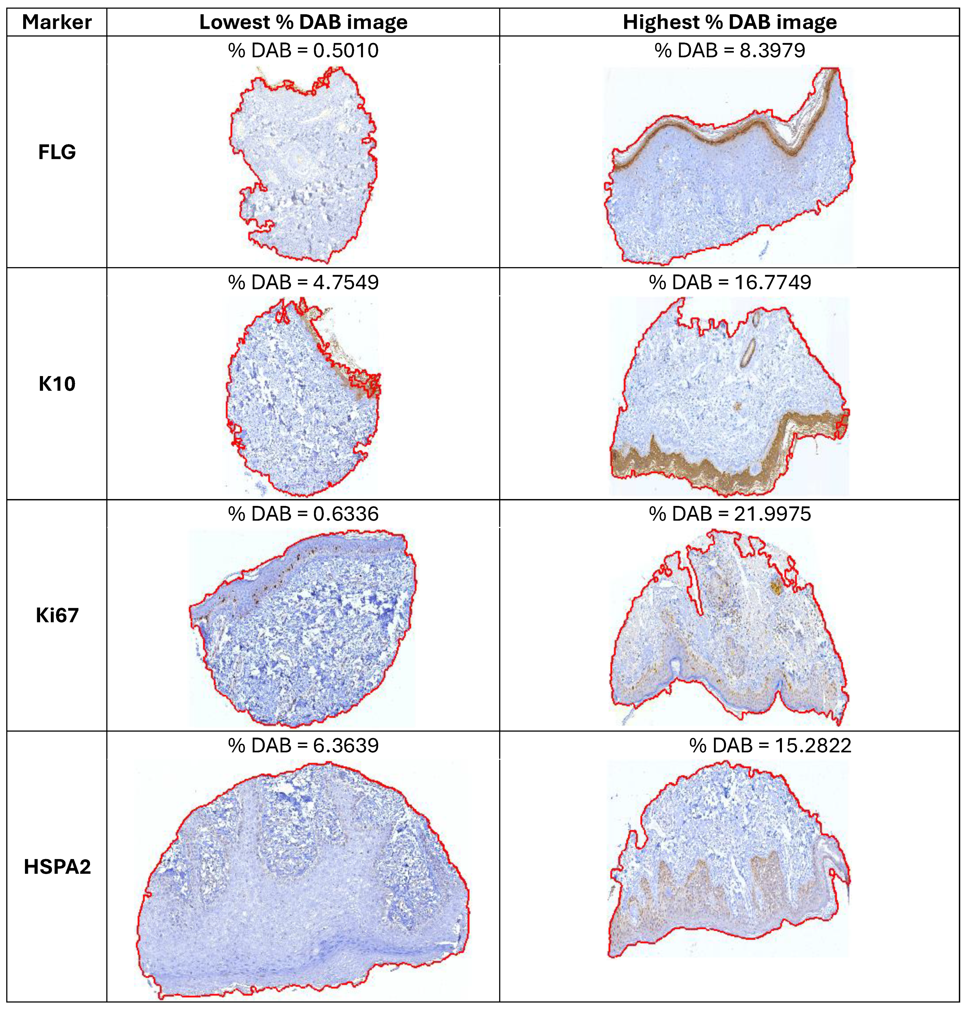 Diagnostics 14 01904 g007