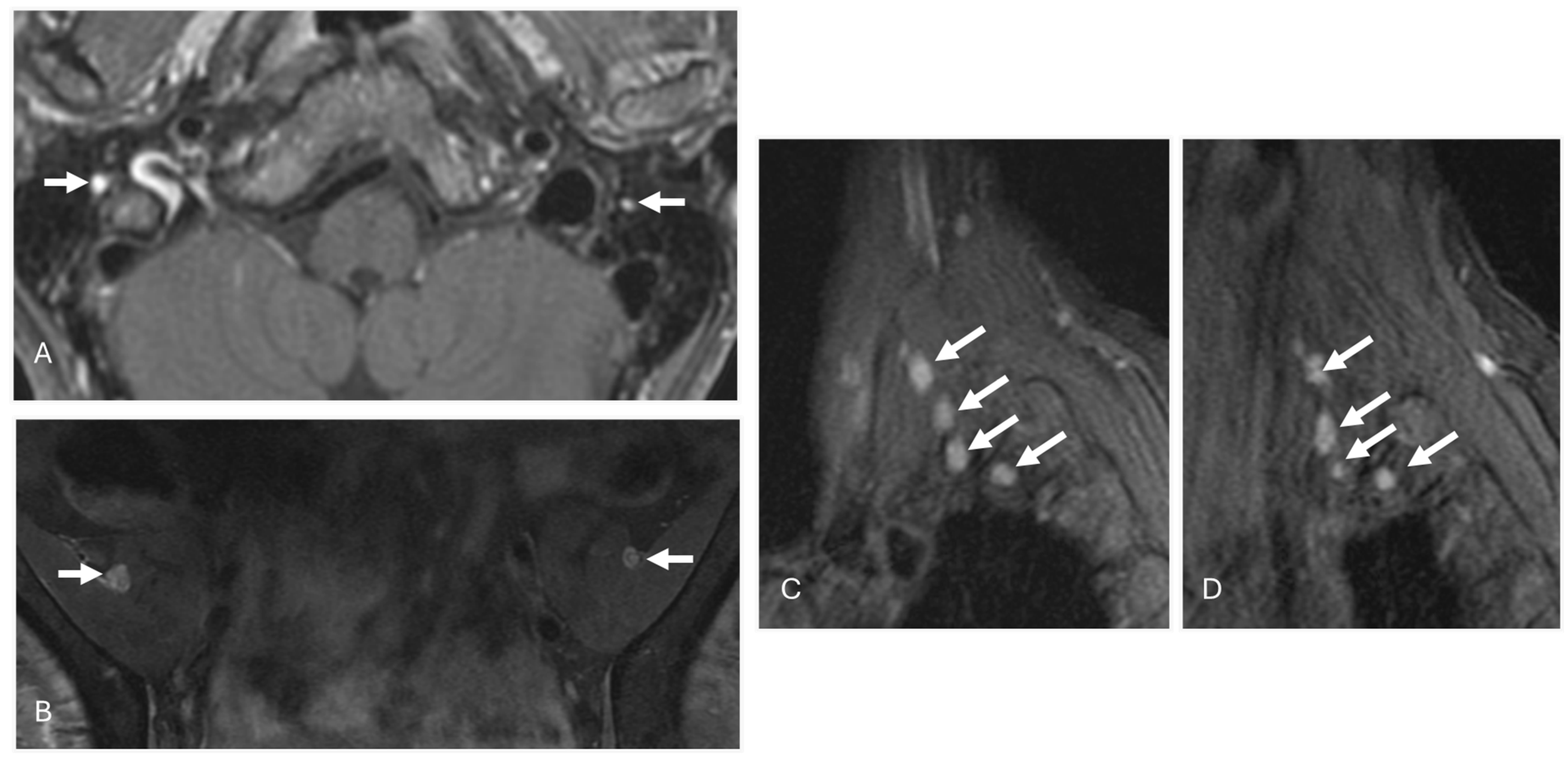 Diagnostics 14 01907 g003