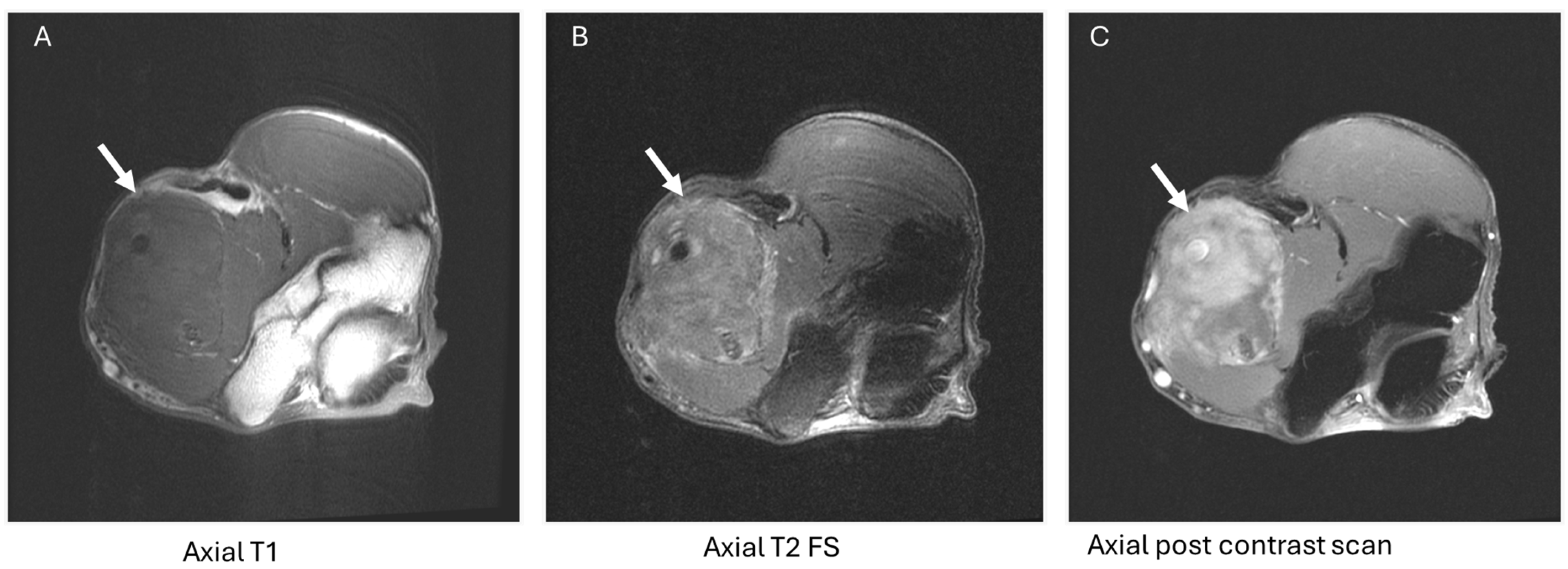 Diagnostics 14 01907 g004