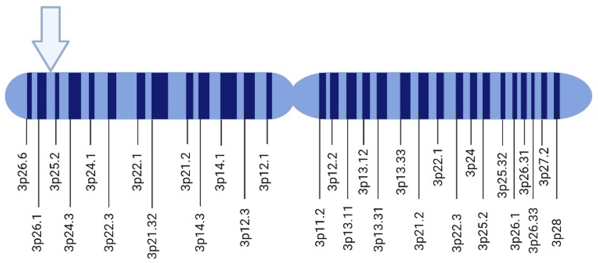 Diagnostics 14 01909 g001