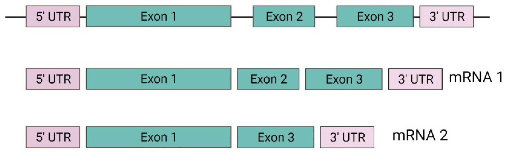 Diagnostics 14 01909 g002
