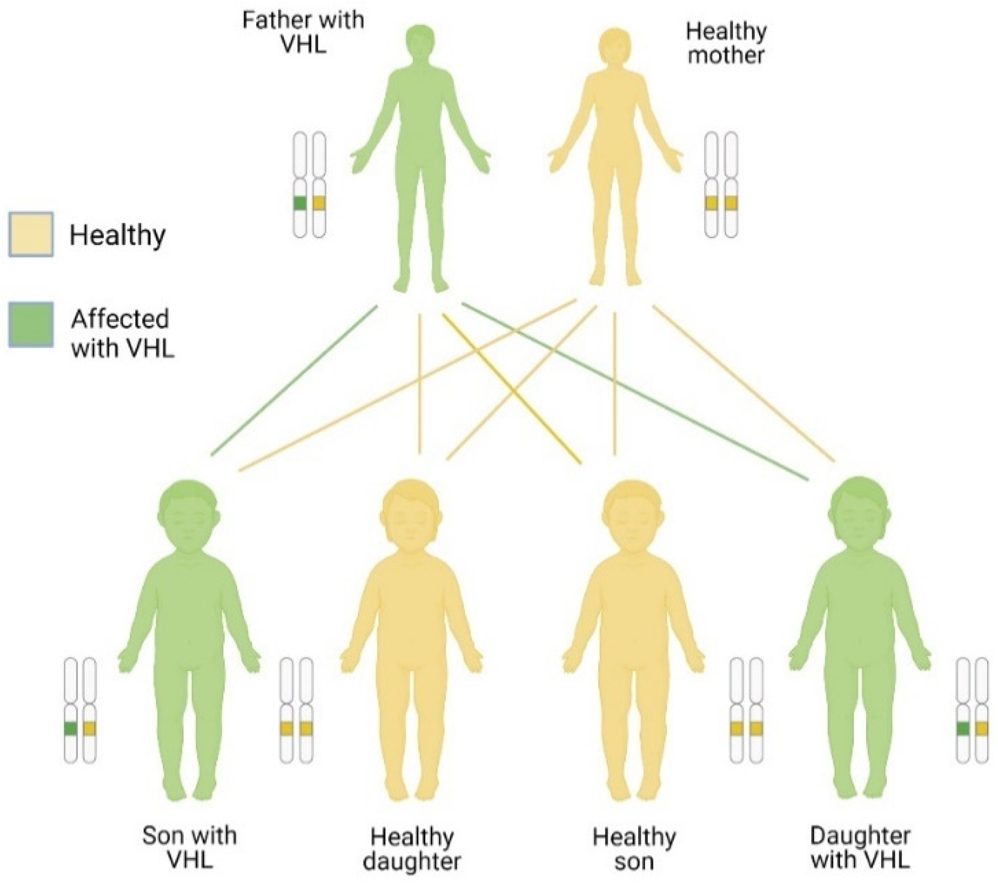 Diagnostics 14 01909 g004