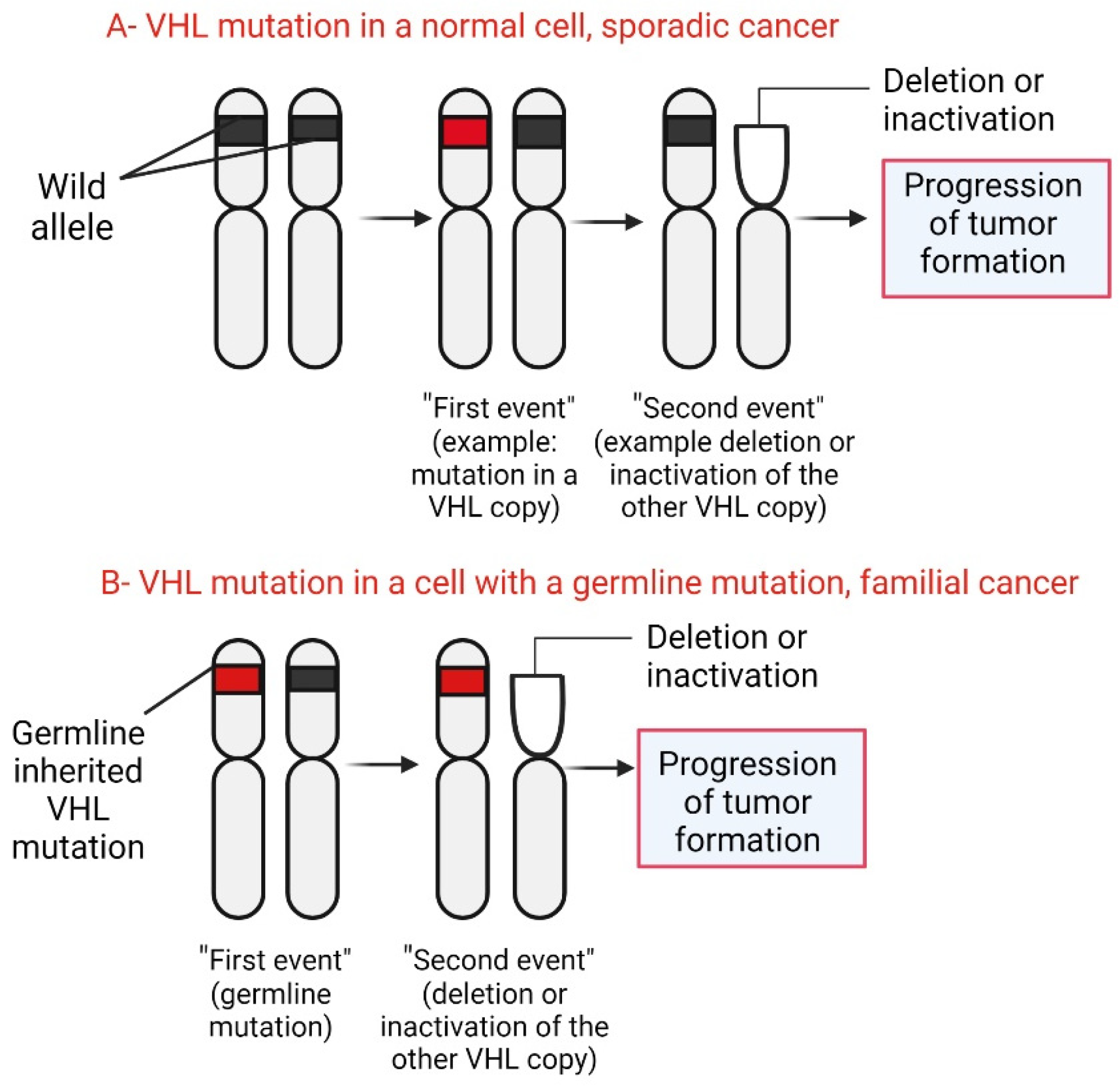 Diagnostics 14 01909 g005