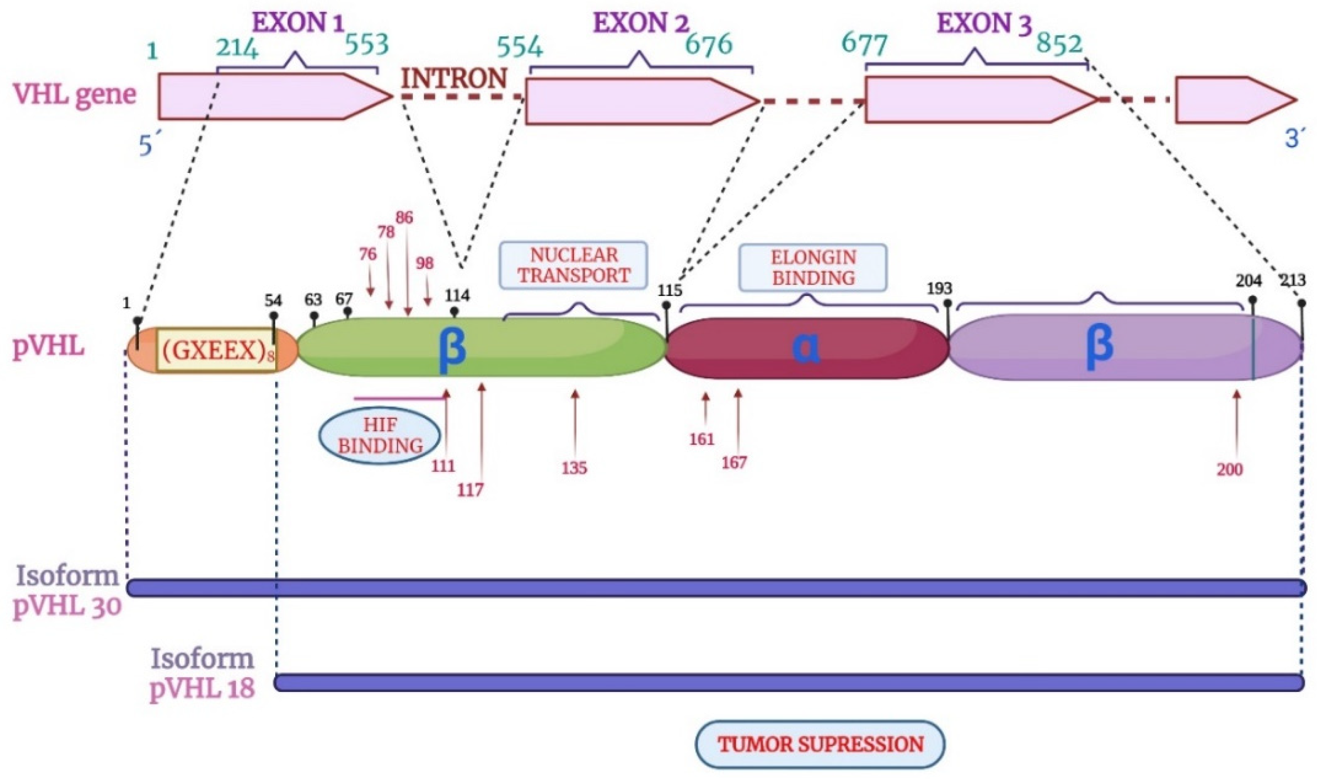 Diagnostics 14 01909 g006