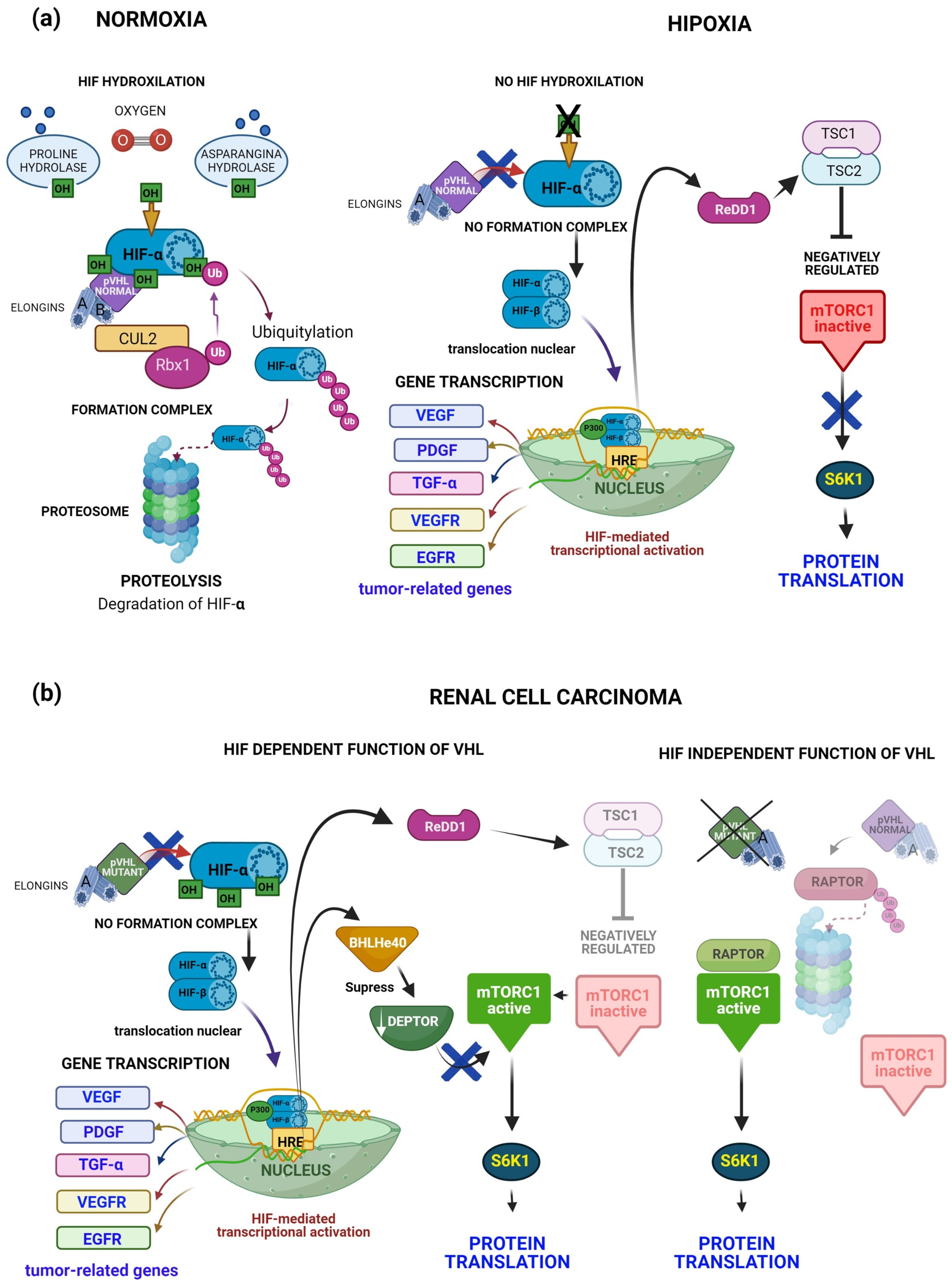 Diagnostics 14 01909 g007