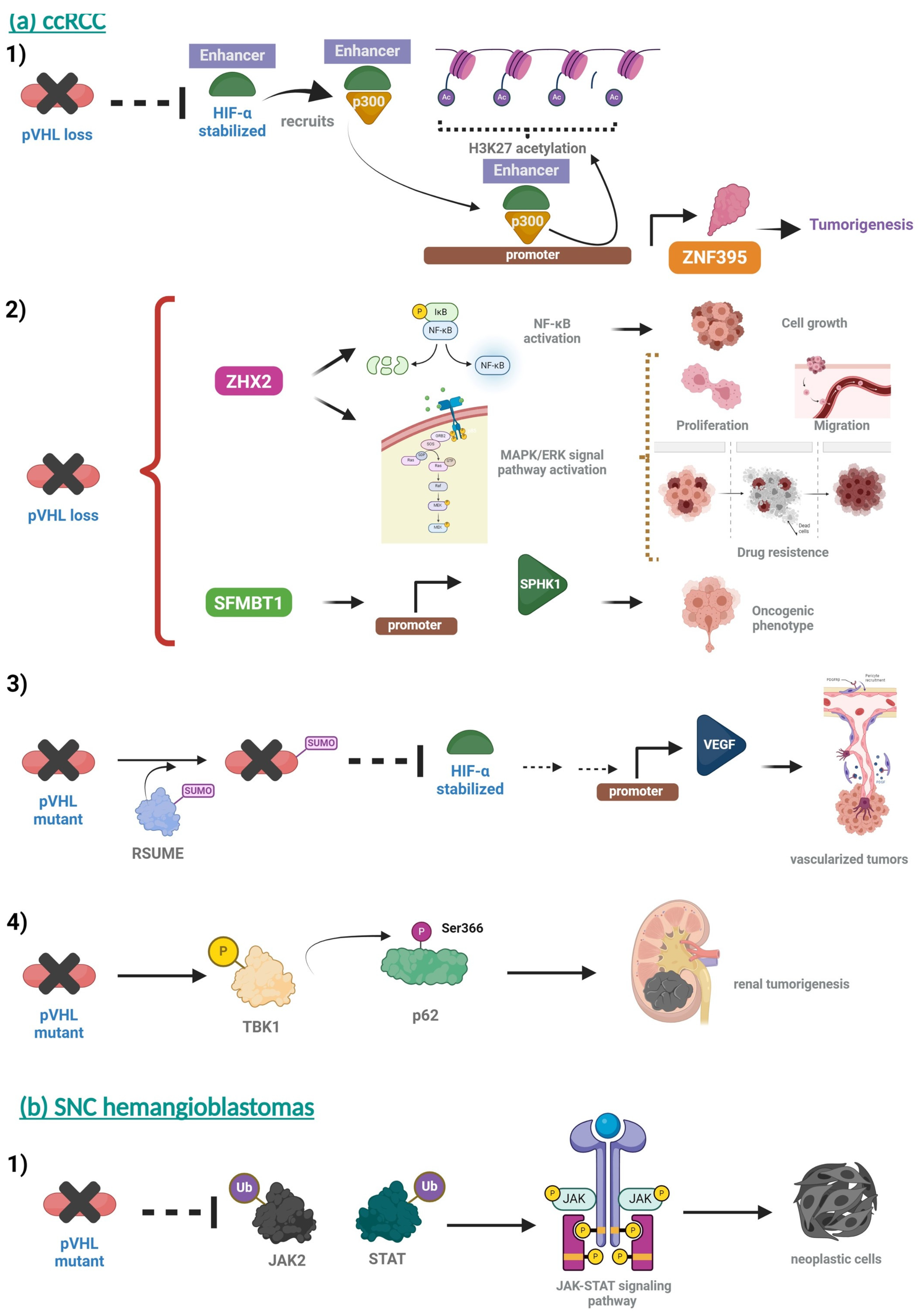 Diagnostics 14 01909 g008