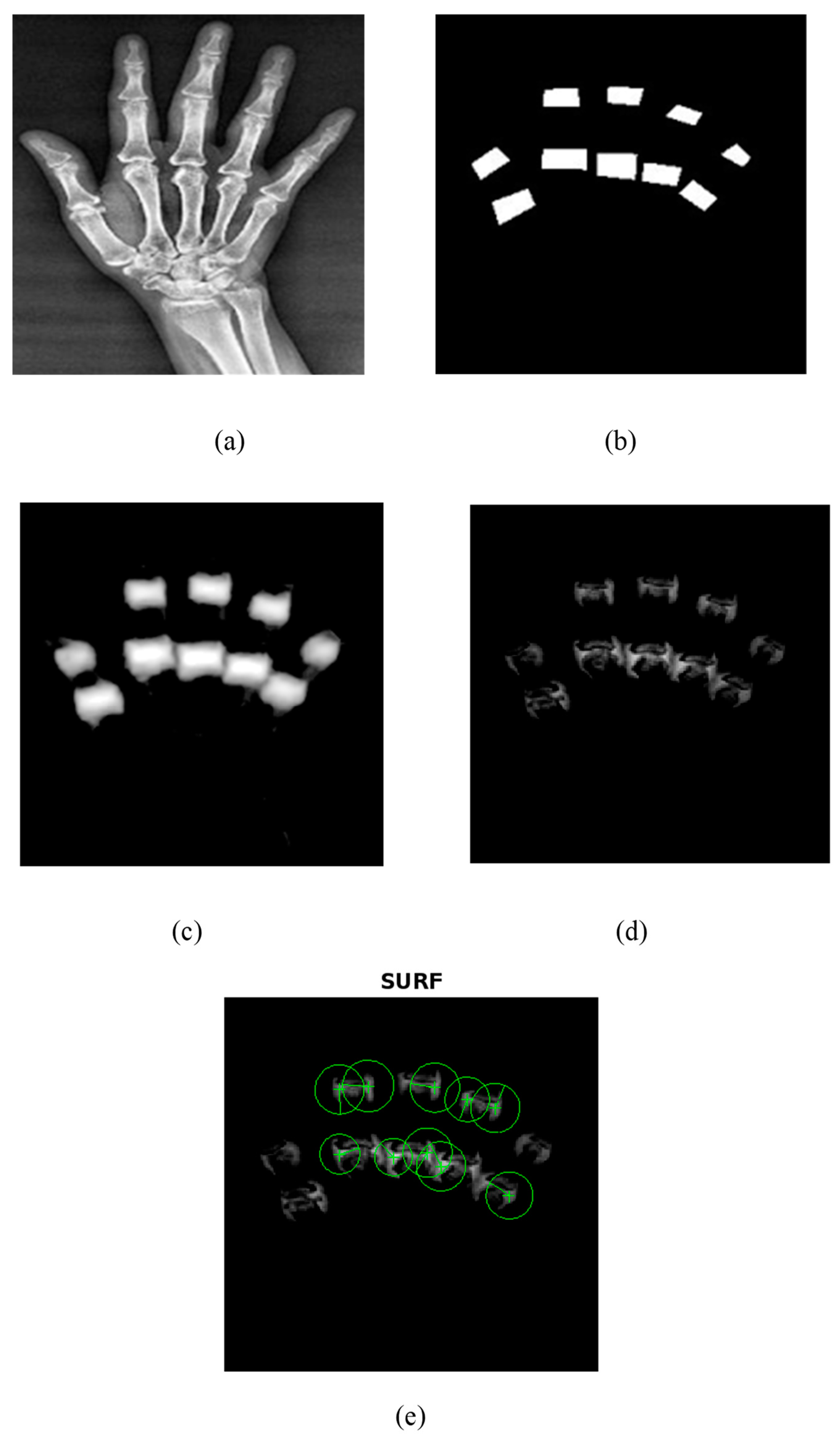 Diagnostics 14 01911 g006