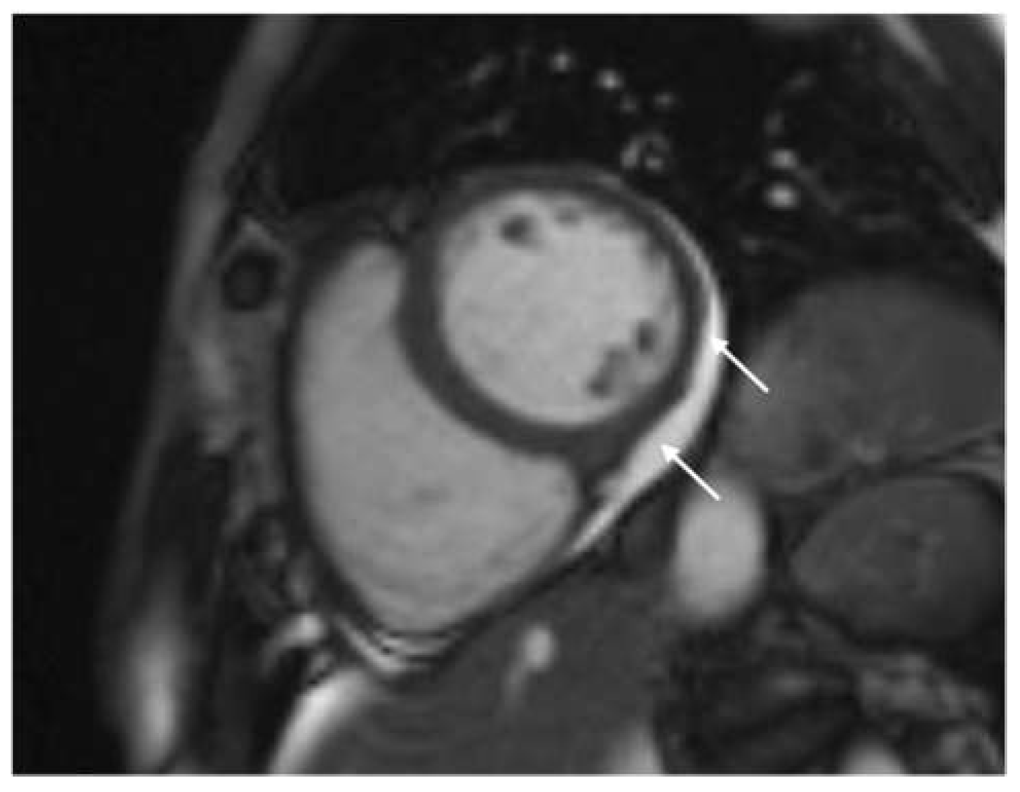 Diagnostics 14 01937 g004