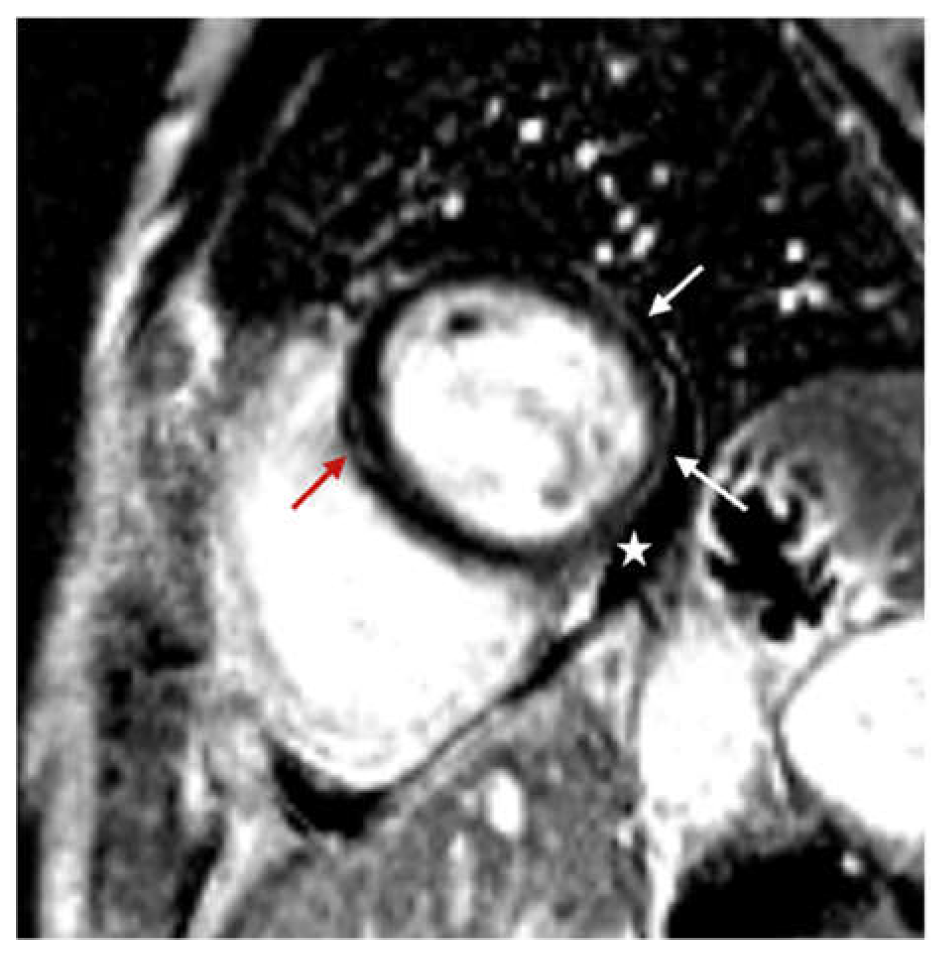 Diagnostics 14 01937 g005
