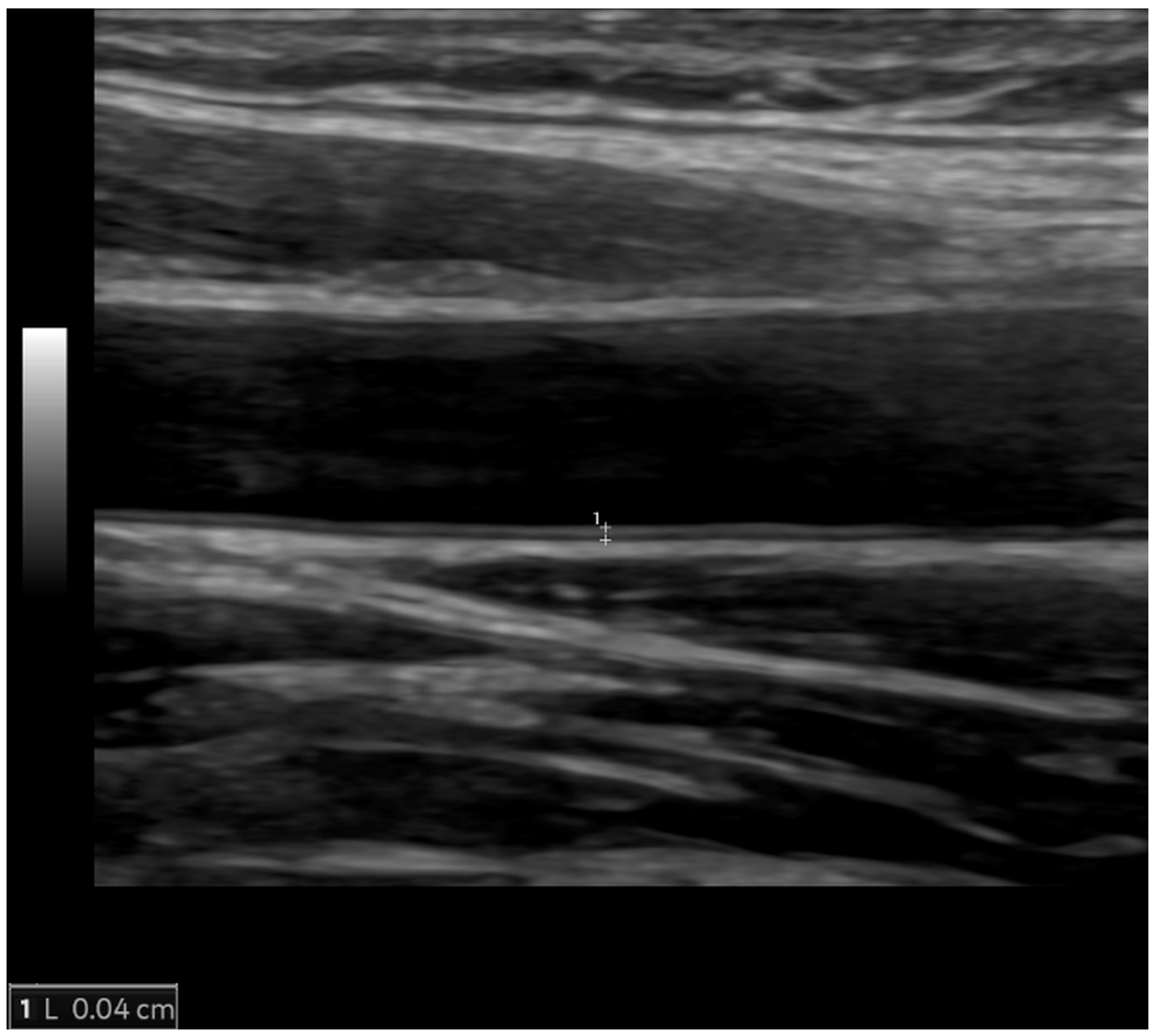 Diagnostics 14 01947 g003 Diagnostics 14 01947 g003