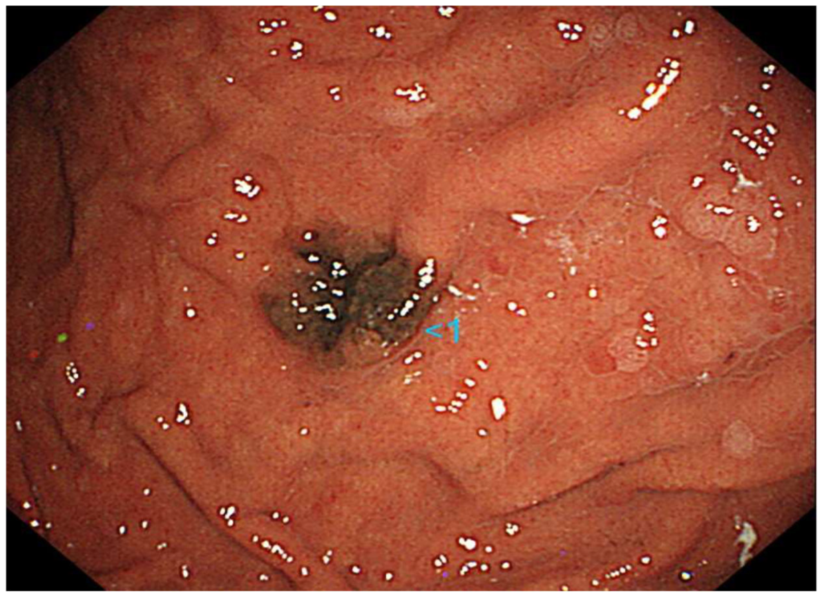 Diagnostics 14 01958 g001