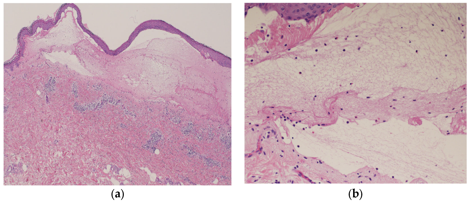 Diagnostics 14 01958 g005