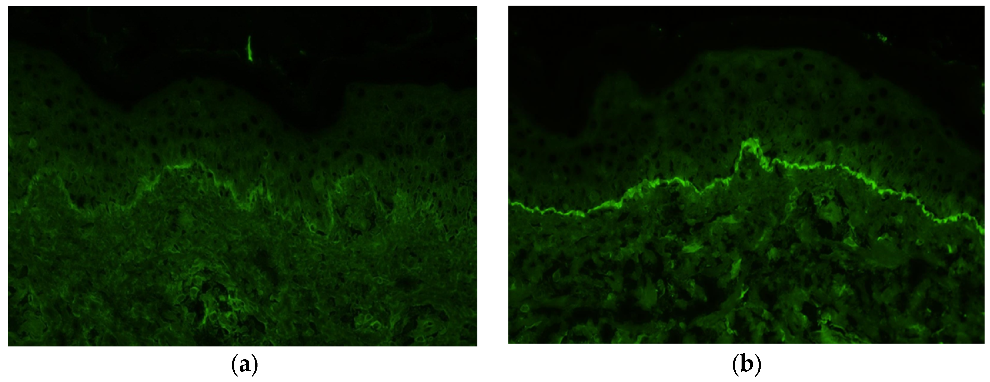 Diagnostics 14 01958 g006