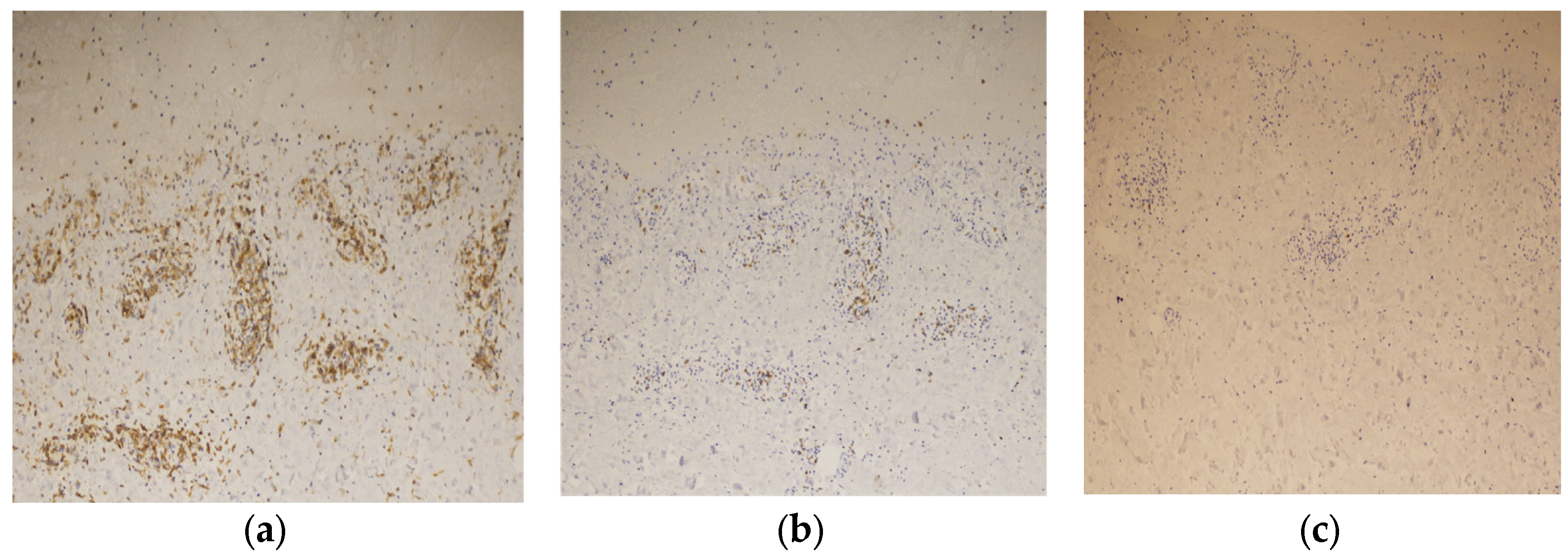 Diagnostics 14 01958 g007