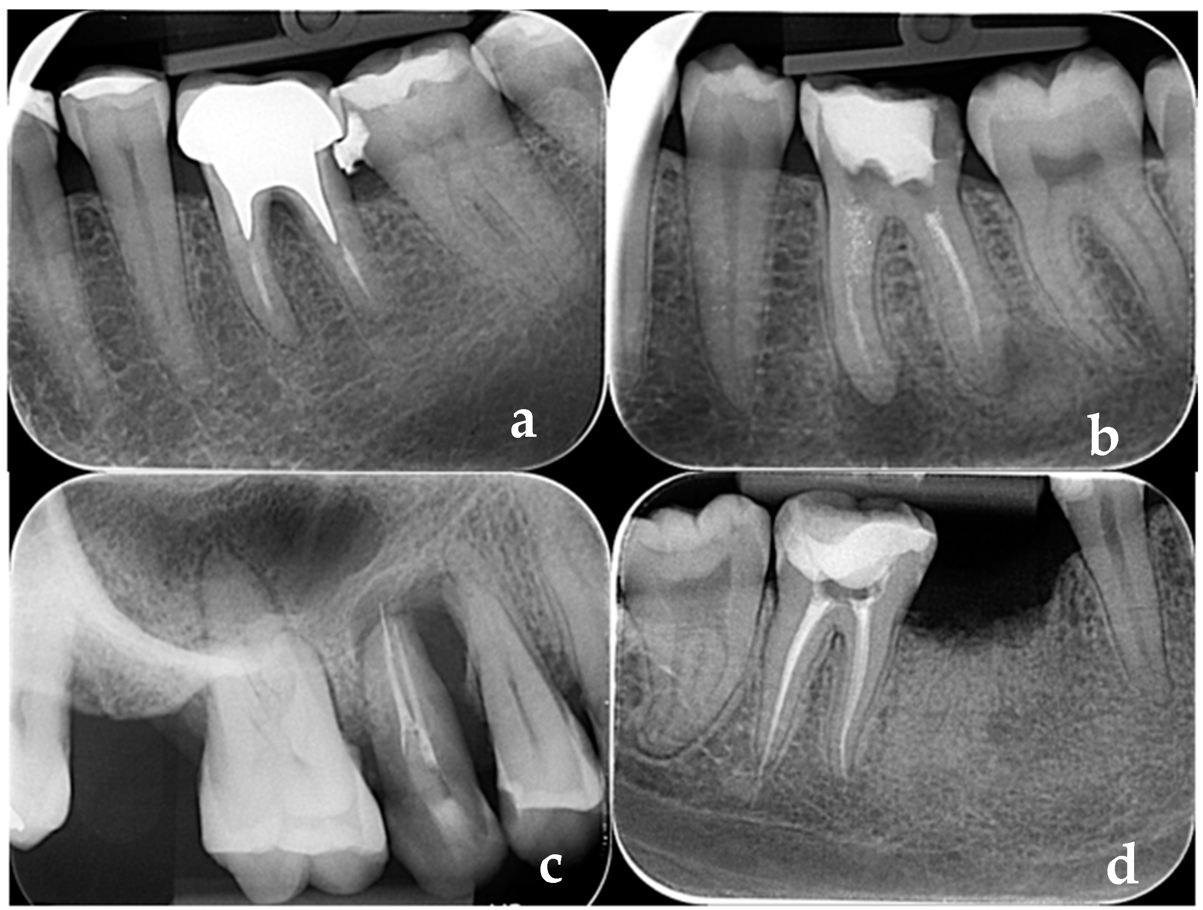 Diagnostics 14 01972 g001