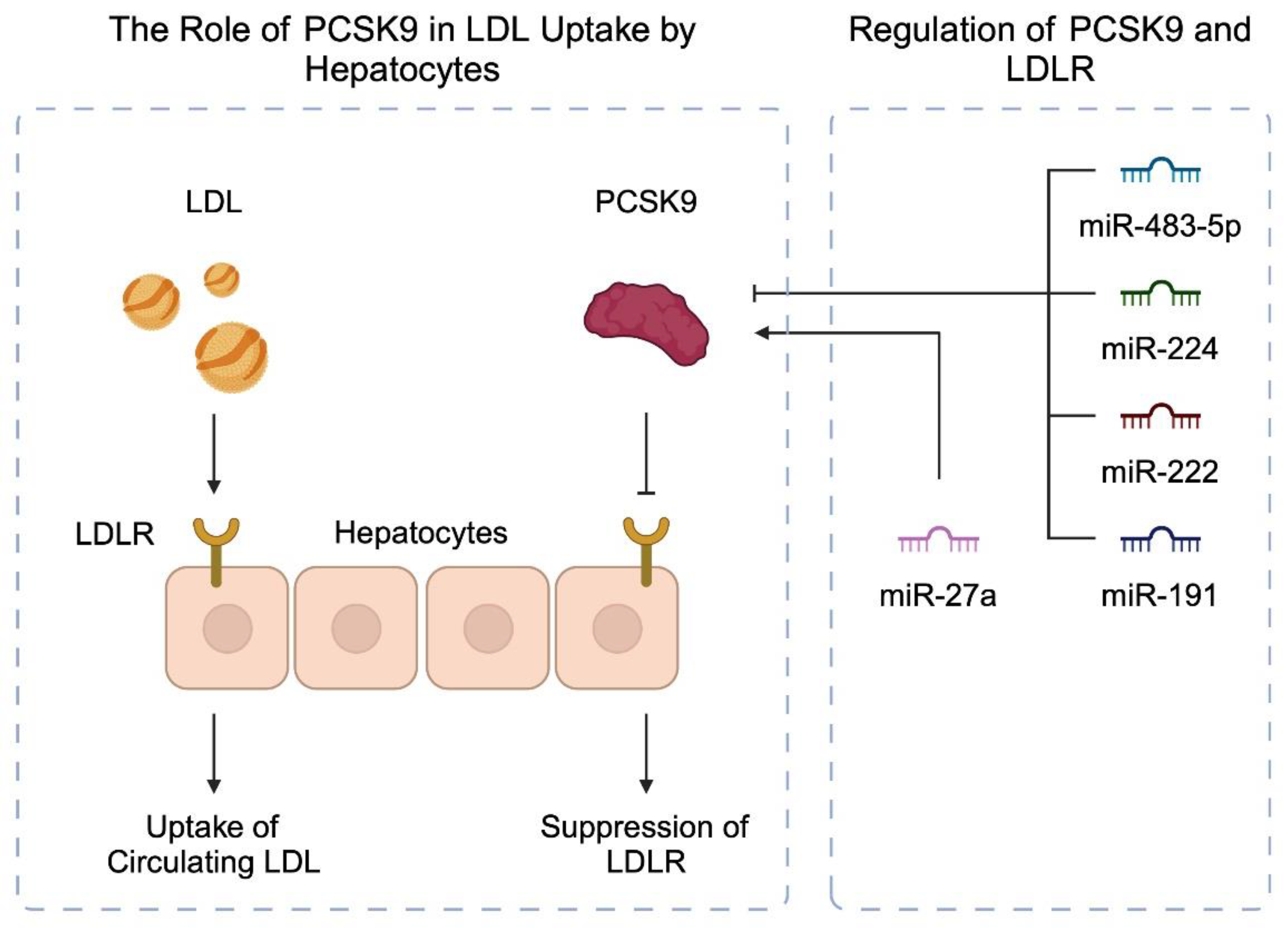 Diagnostics 14 01981 g002