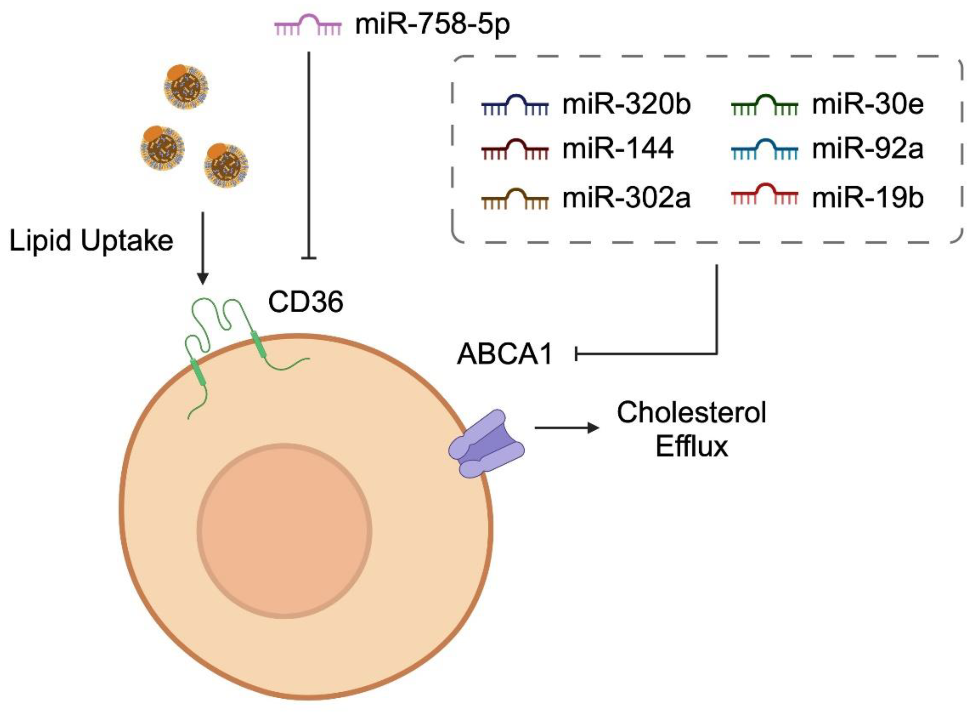 Diagnostics 14 01981 g003