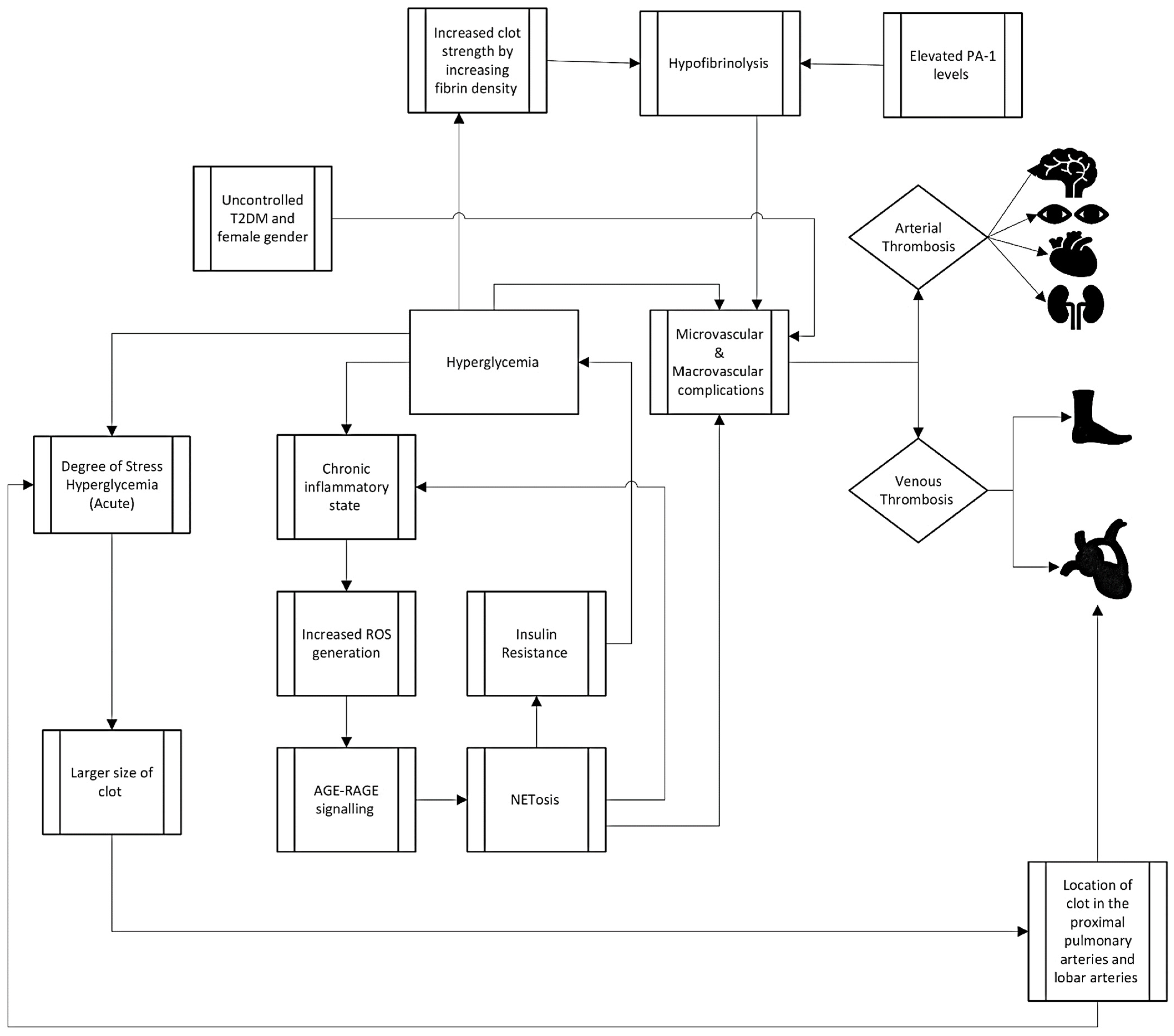 Diagnostics 14 01994 g002 Diagnostics 14 01994 g002