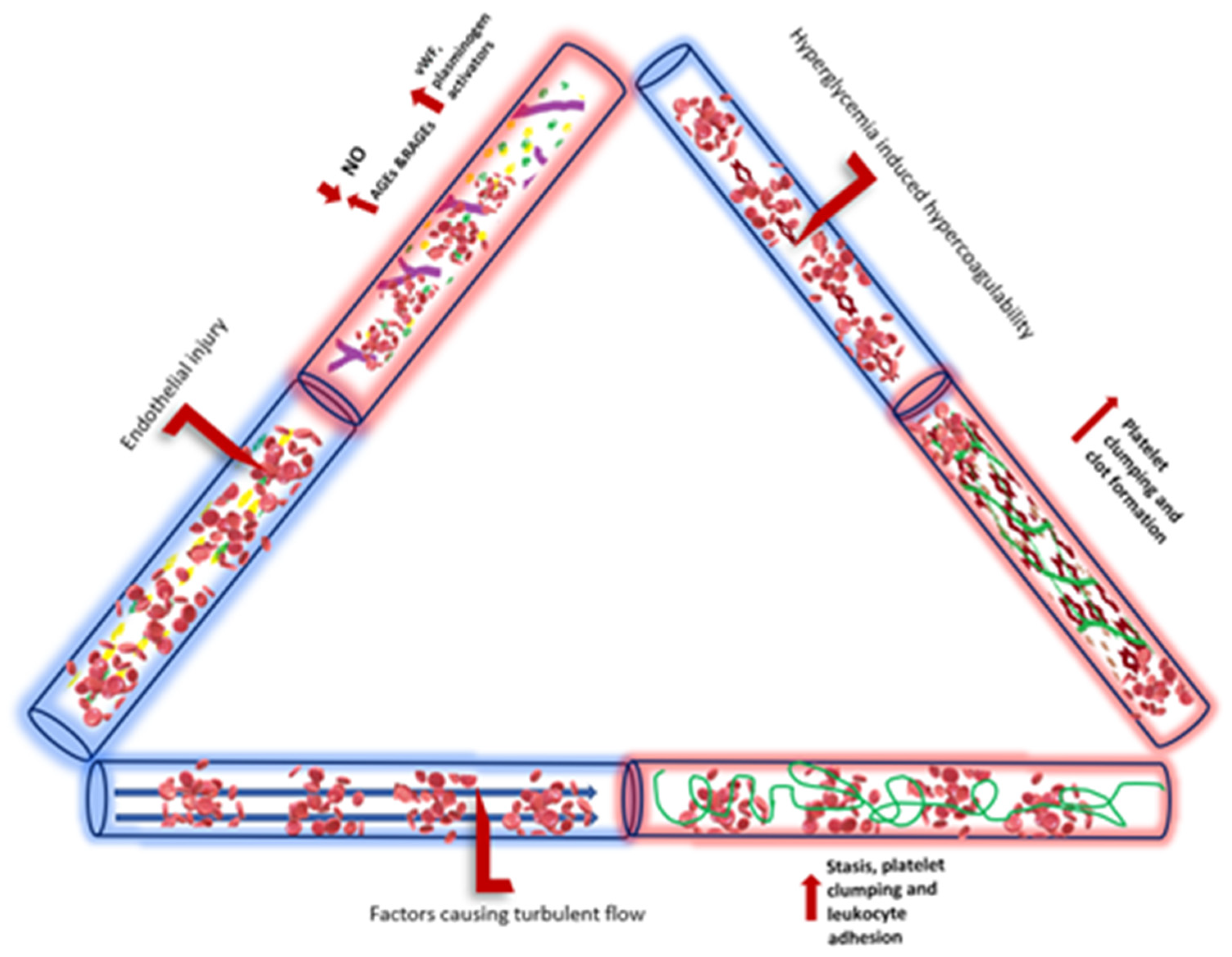 Diagnostics 14 01994 g003 Diagnostics 14 01994 g003