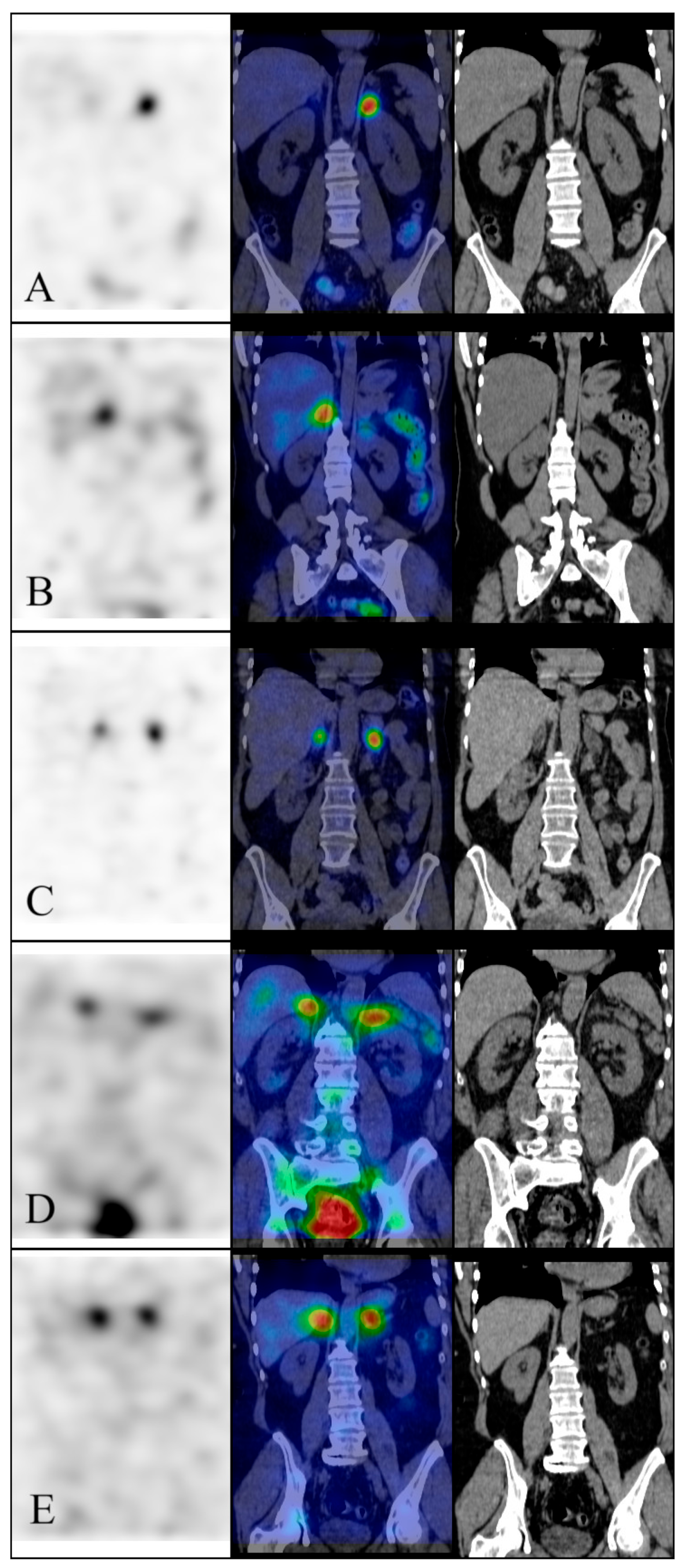 Diagnostics 14 01997 g001