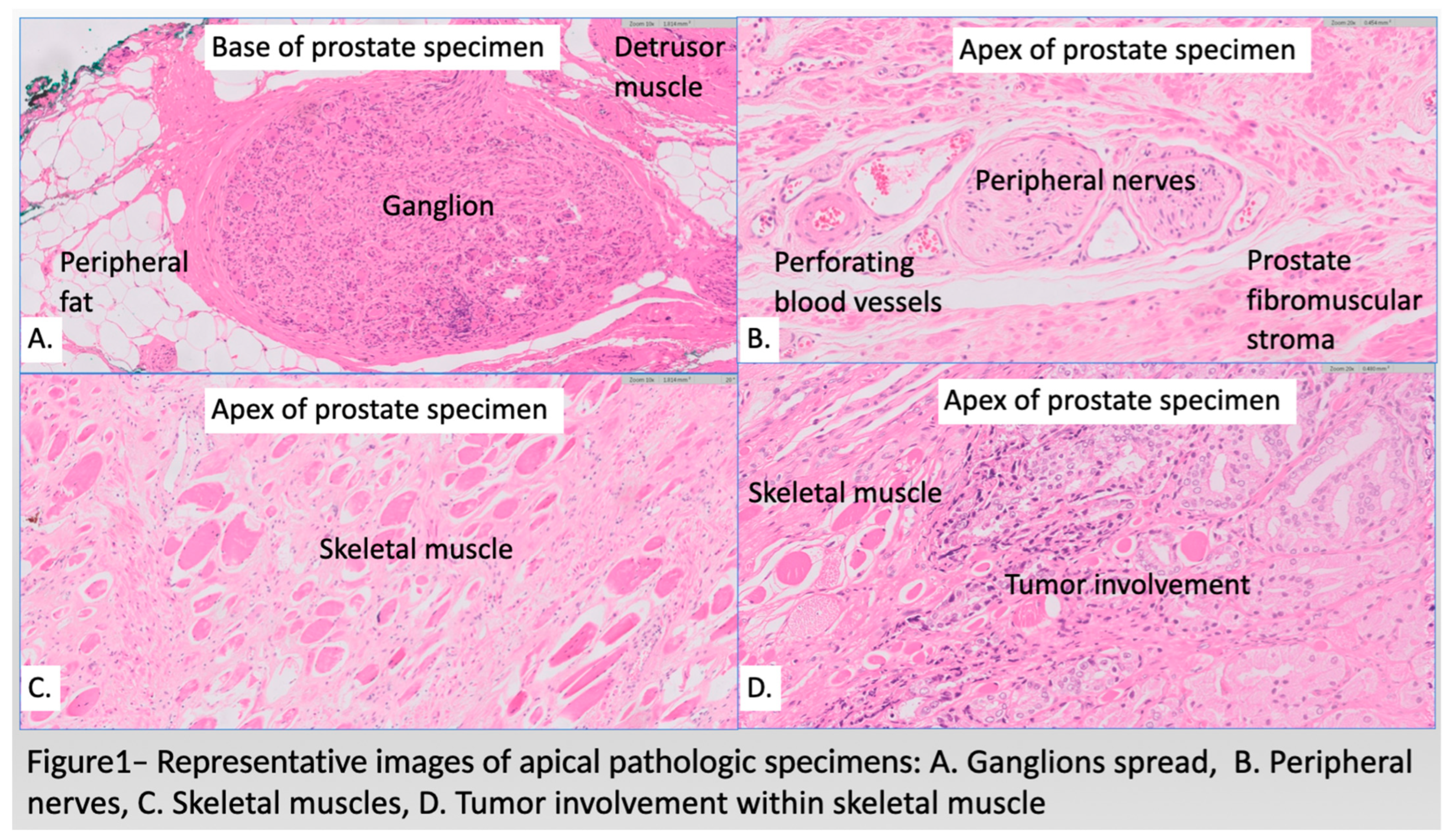 Diagnostics 14 02001 g001