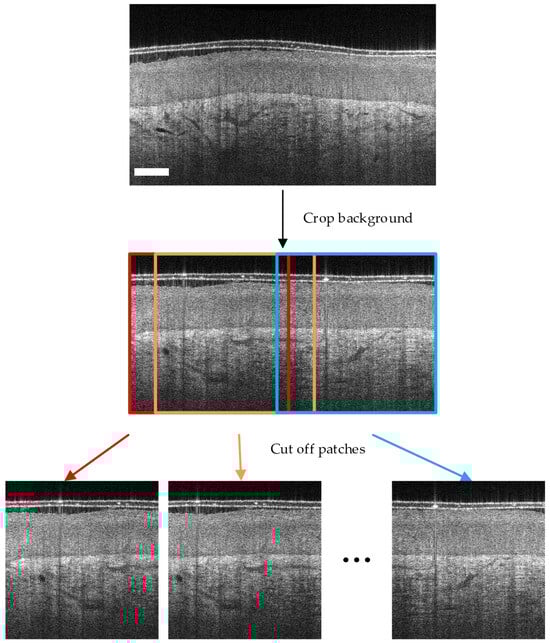 Diagnostics 14 02009 g0a1