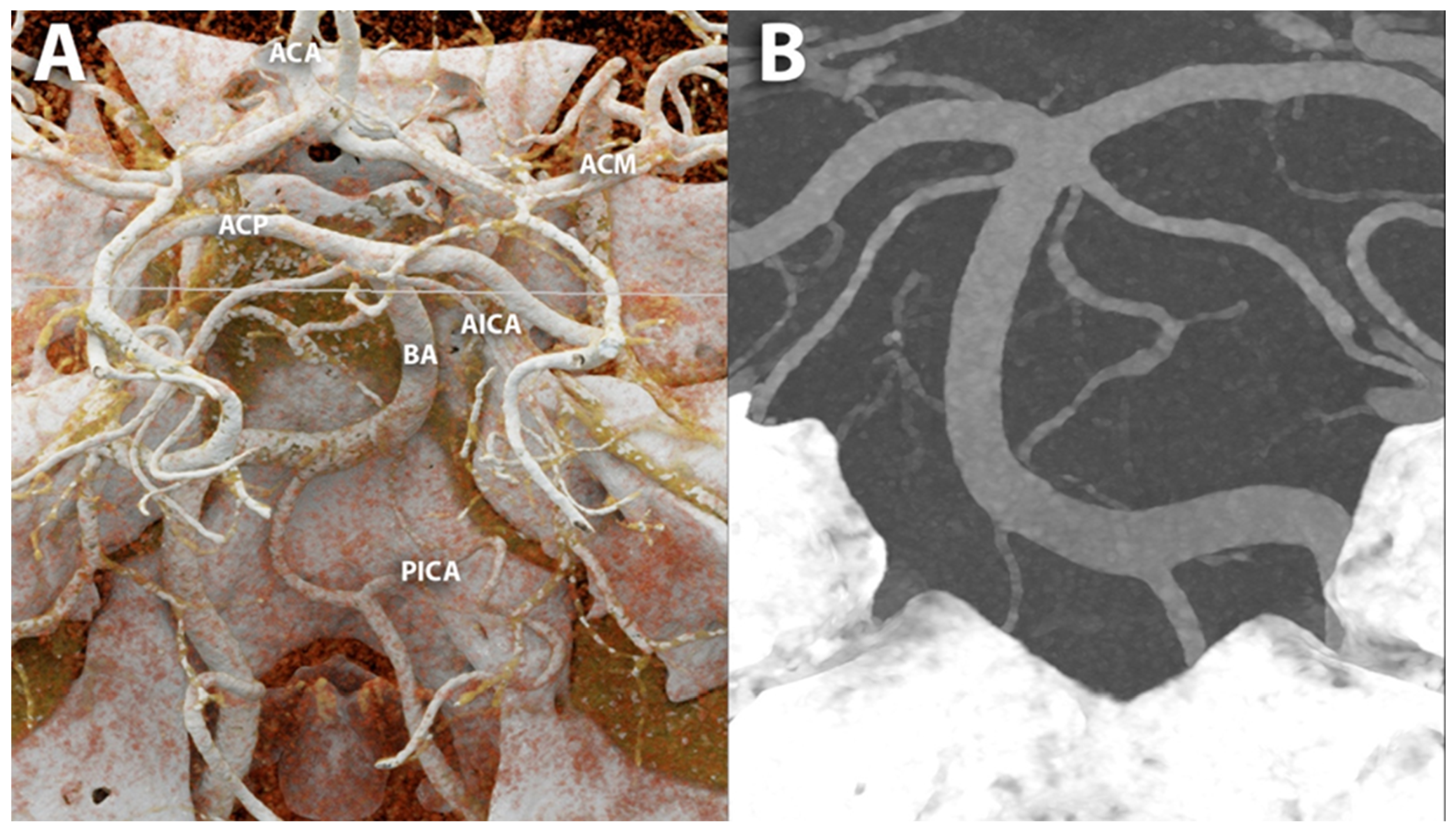 Diagnostics 14 02012 g006