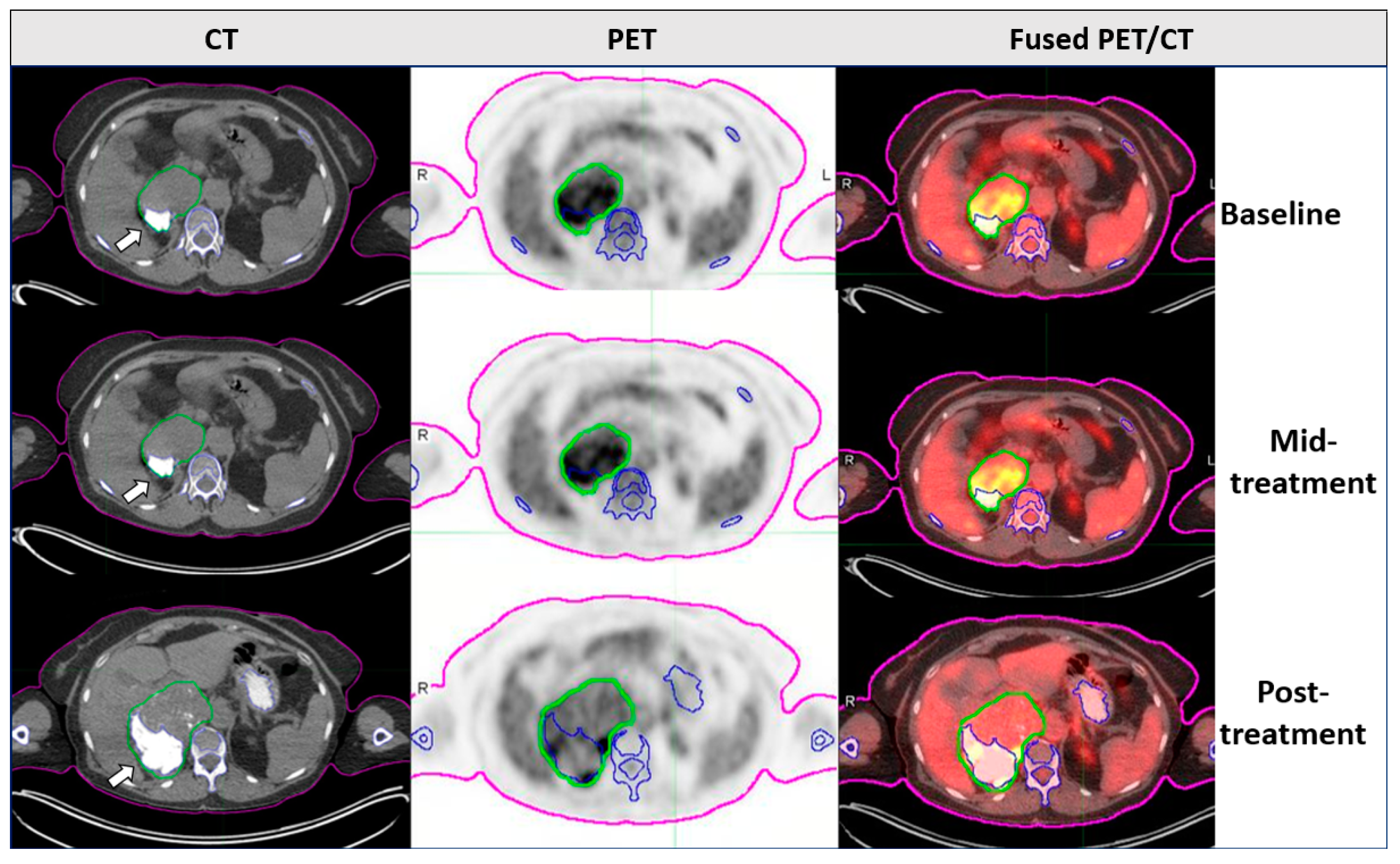 Diagnostics 14 02021 g001