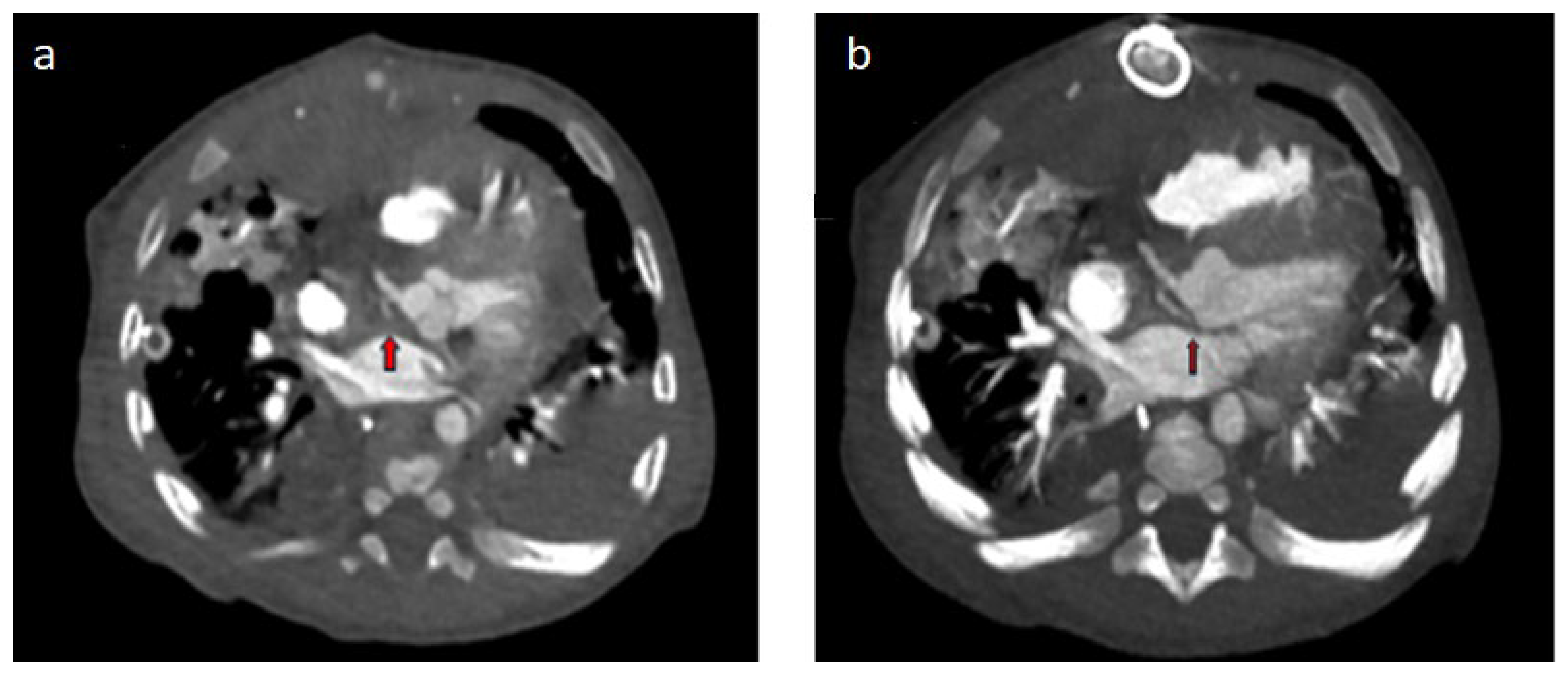 Diagnostics 14 02022 g002