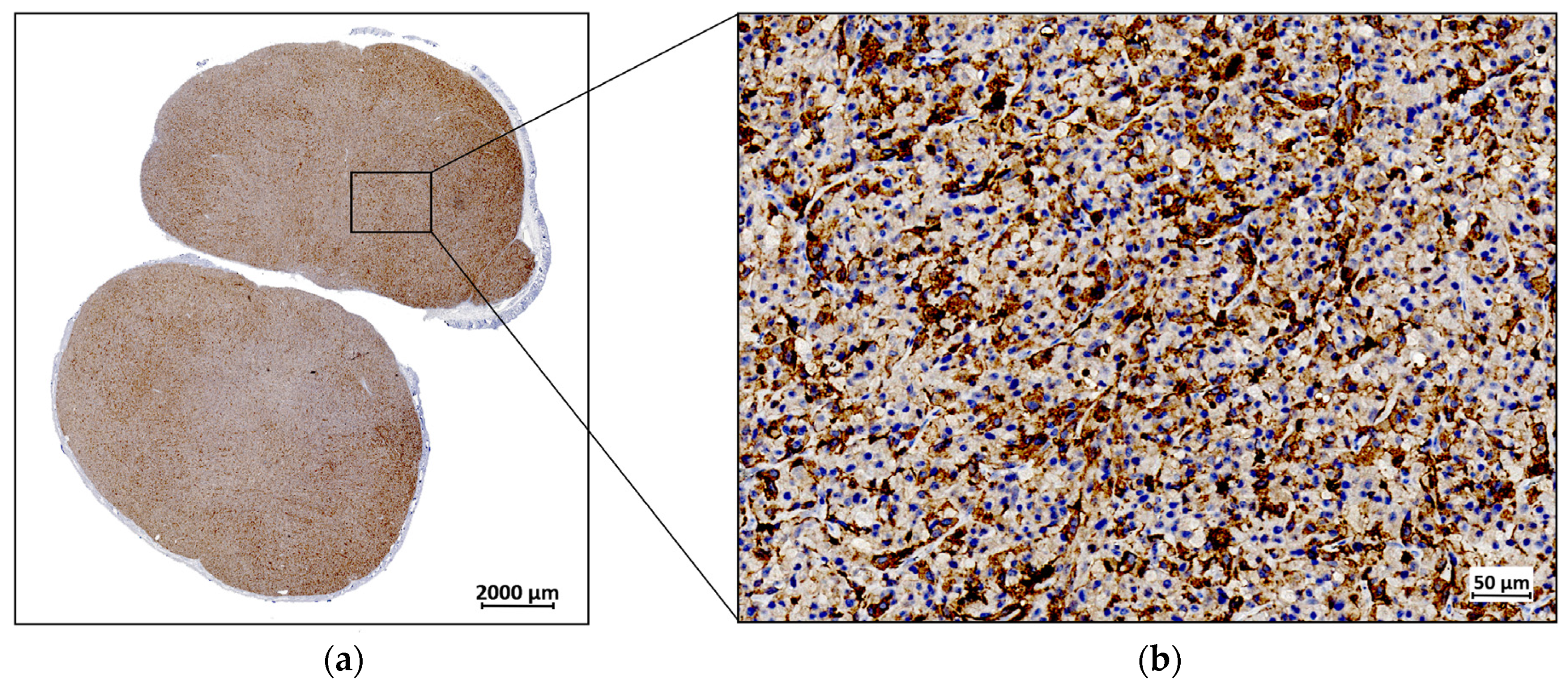 Diagnostics 14 02024 g005