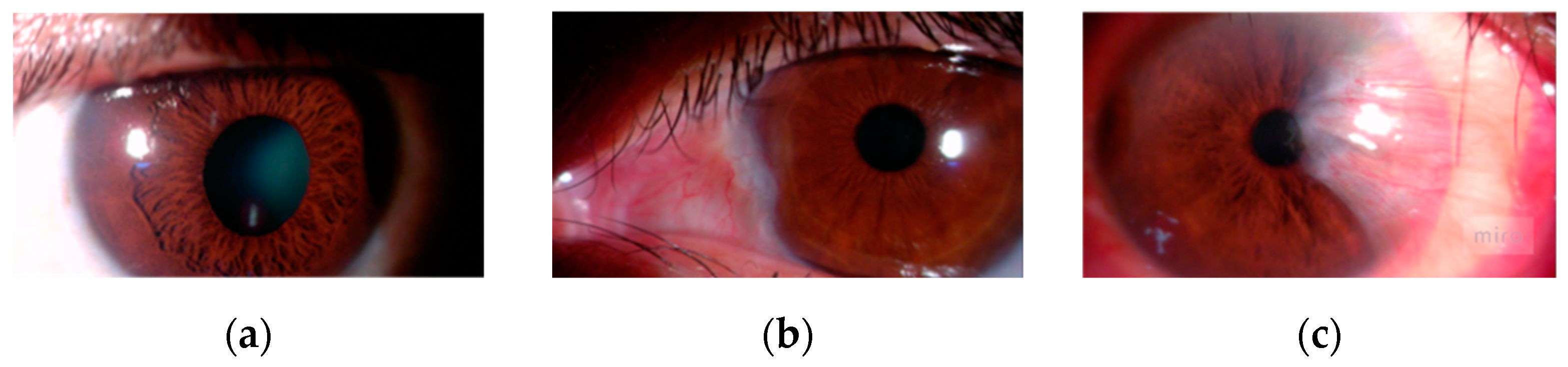 Diagnostics 14 02026 g003