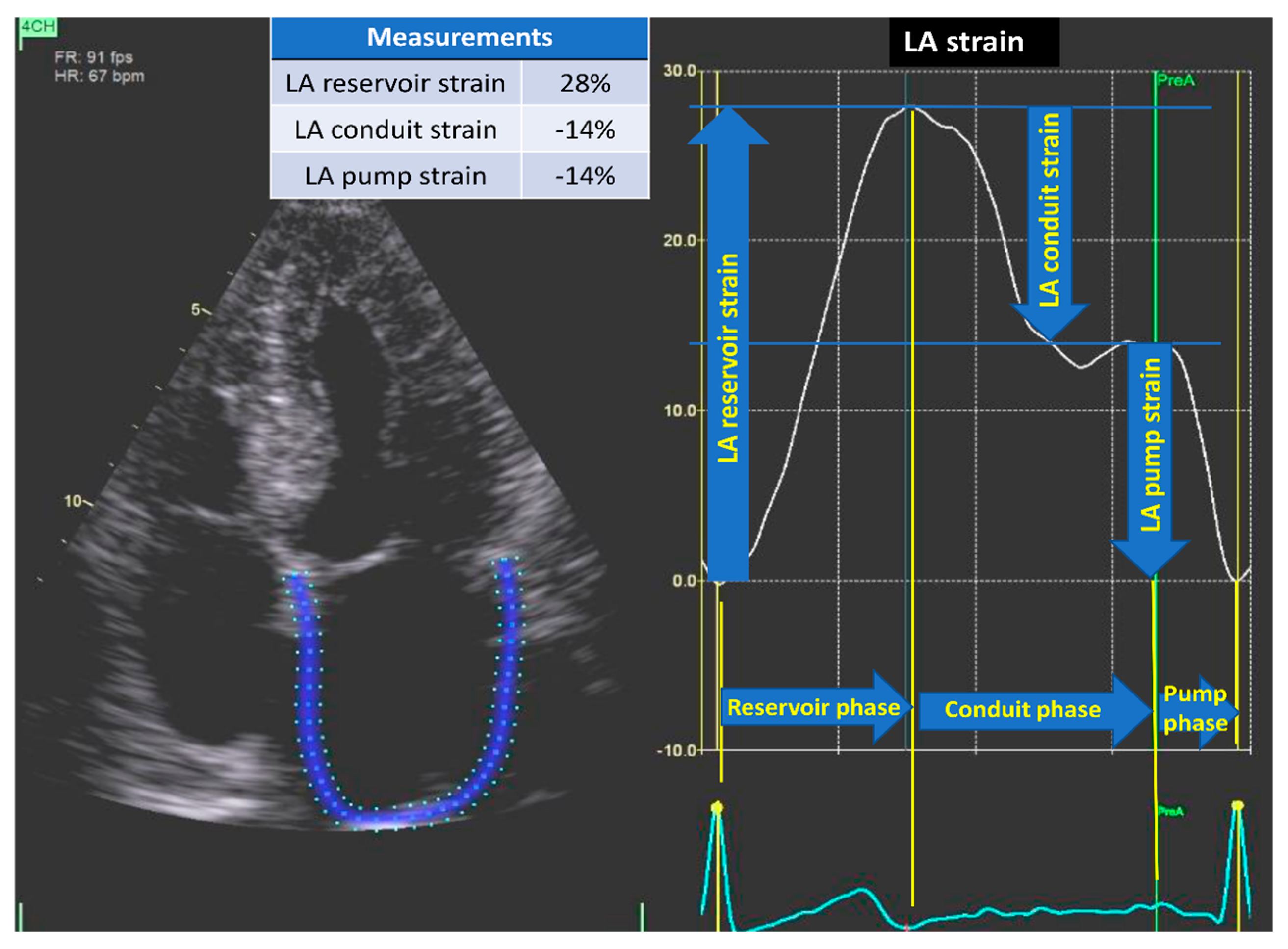 Diagnostics 14 02027 g002