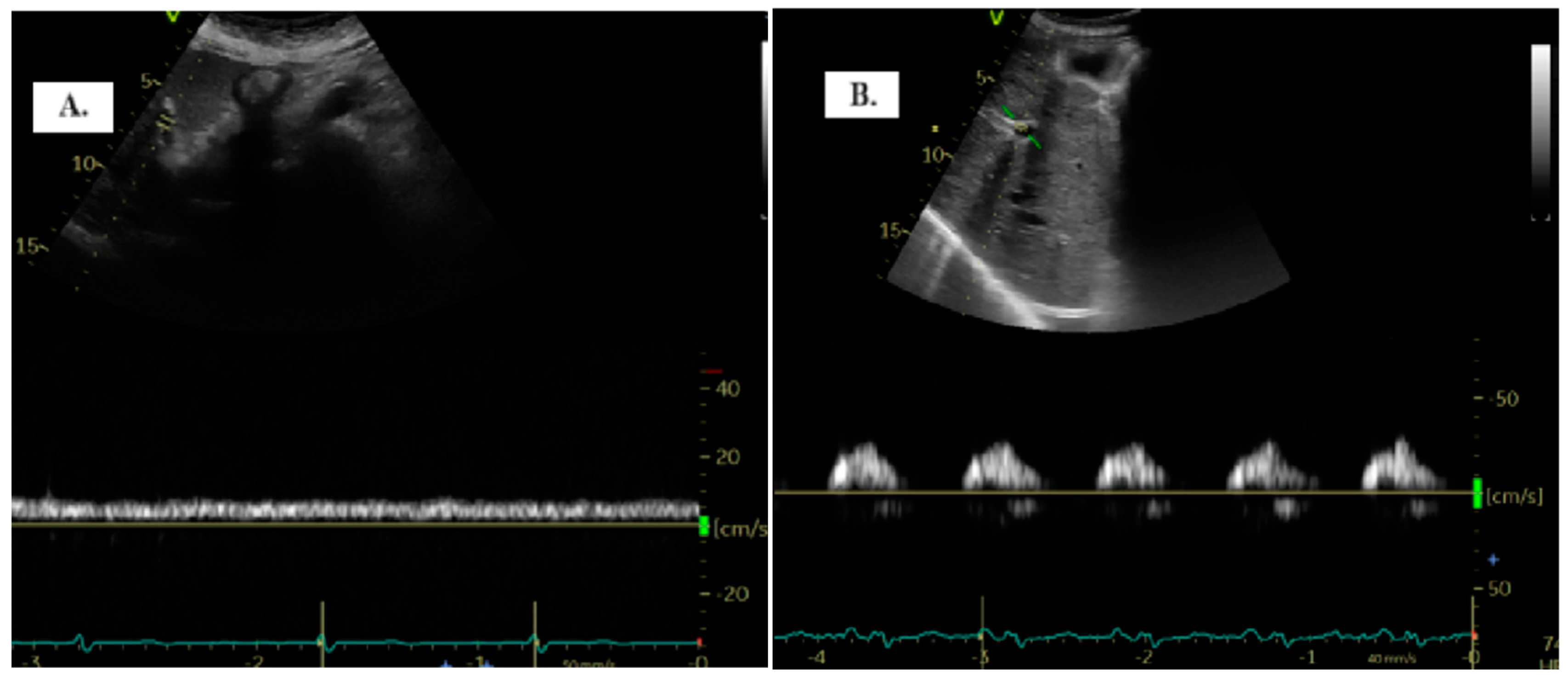 Diagnostics 14 02029 g001