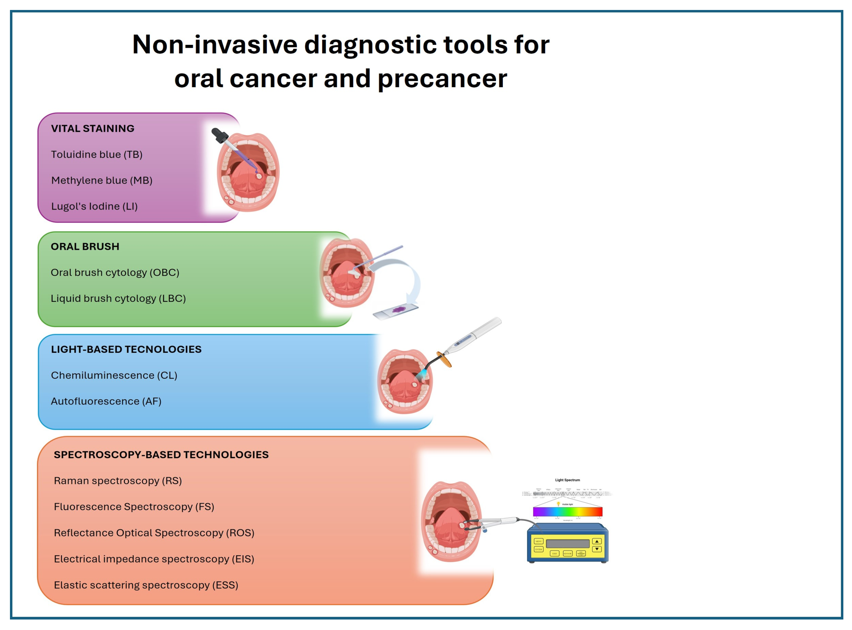 Diagnostics 14 02033 g002