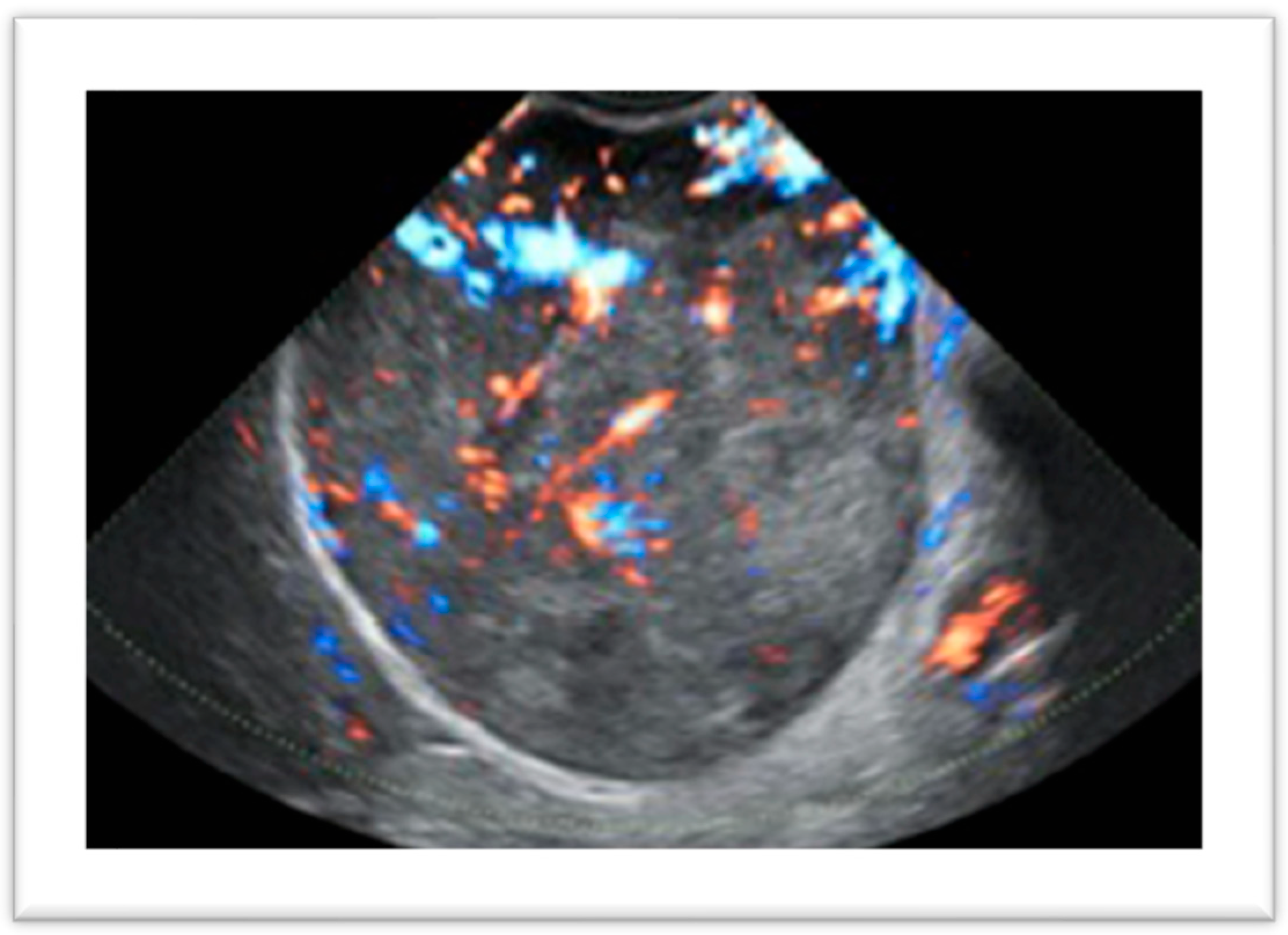 Diagnostics 14 02046 g001