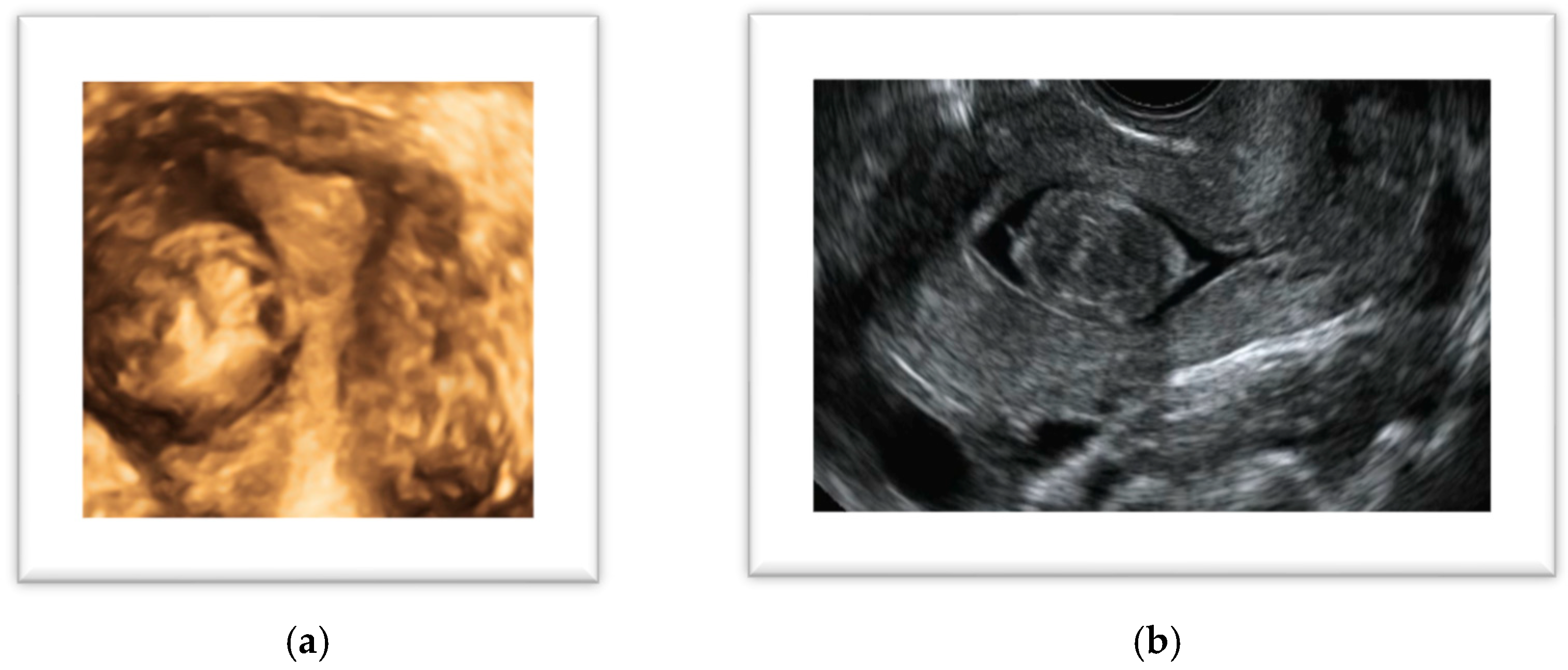 Diagnostics 14 02046 g002