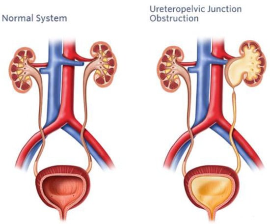 Diagnostics 14 02059 g005