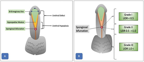 Diagnostics 14 02059 g010