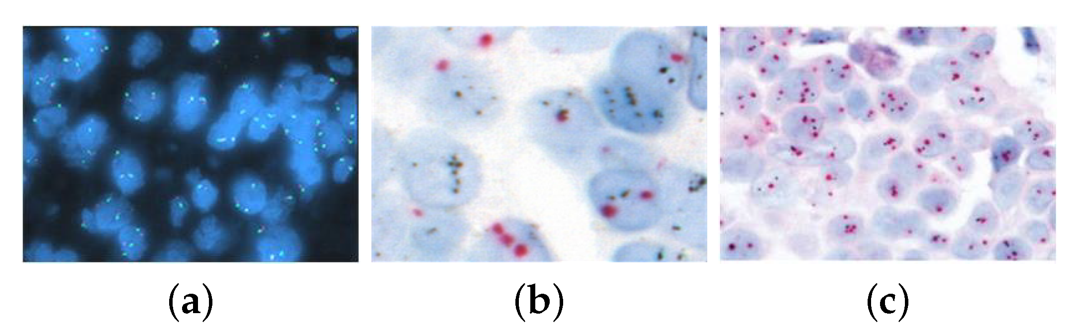 Diagnostics 14 02089 g001