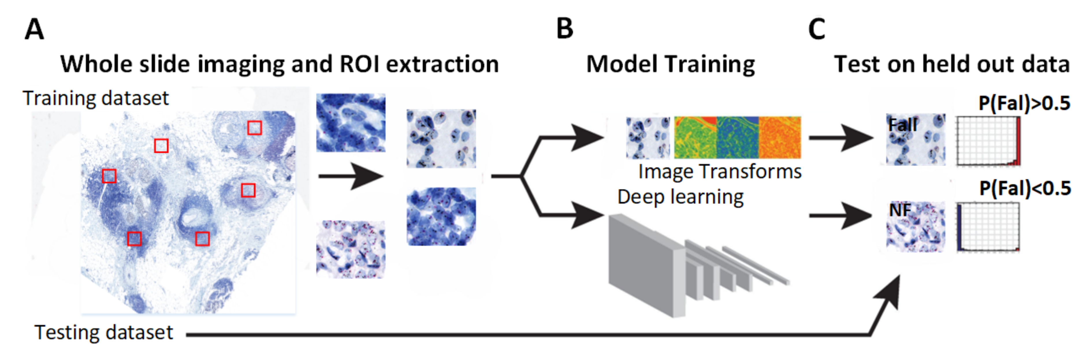 Diagnostics 14 02089 g003